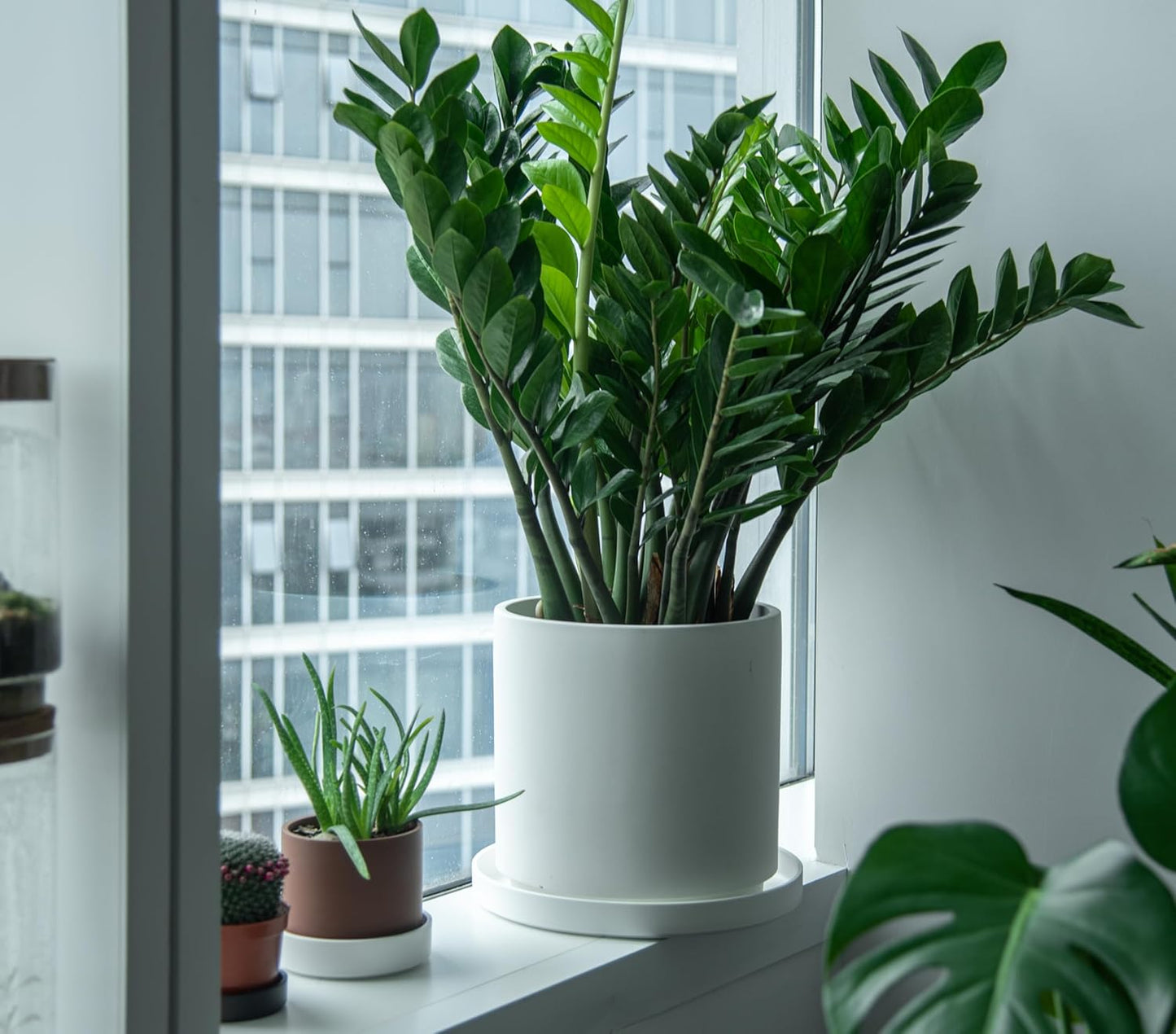 Phoenix Vine 14 Inch Plastic Plant Saucer Water Drip Tray, Heavy Sturdy Round Plant Drainage Tray for Indoors Outdoor, Set of 2, Matte White, 21-TY-14W-2