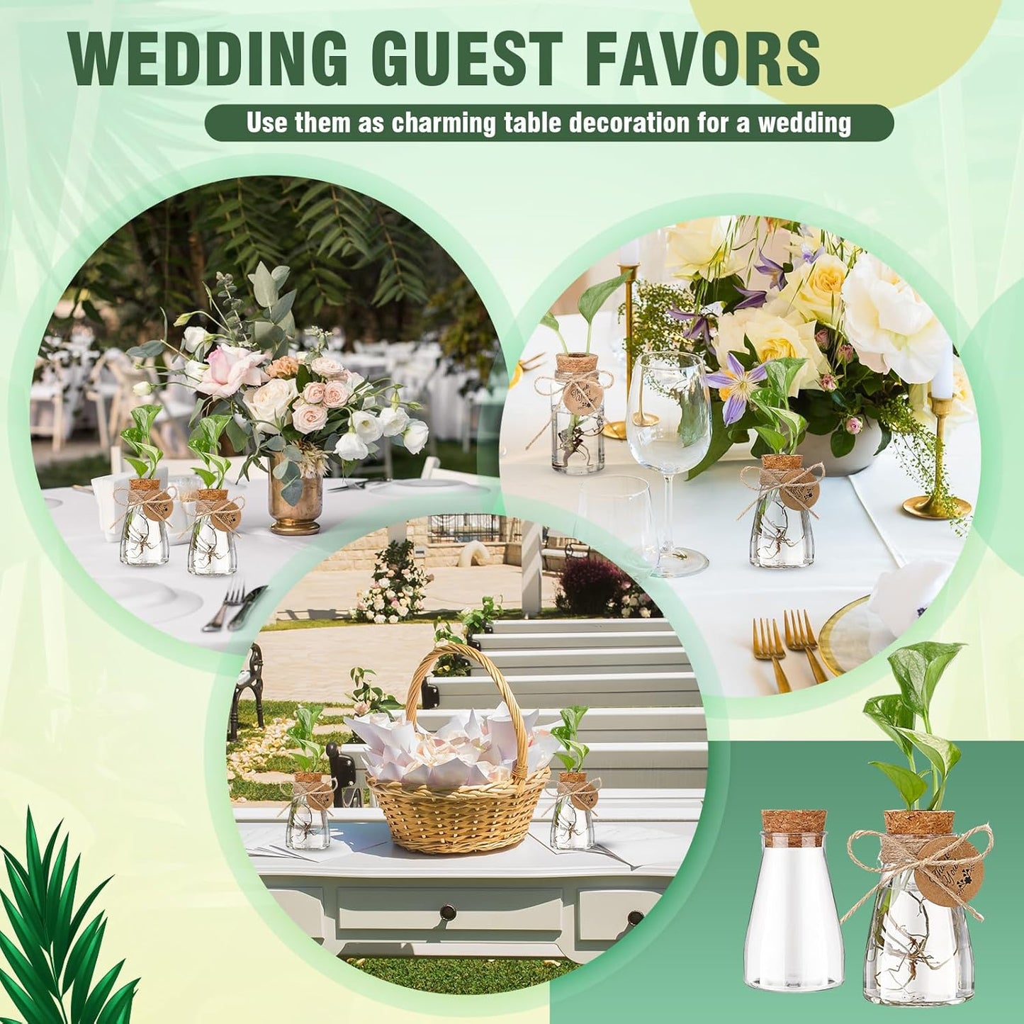 Baderke 3.35'' Plastic Plant Propagation Stations with Hole Lid Planter Vase Clear Propagation Jars with Thank You Tags for Plant Lover Gifts for Women Office Home Garden(12 Pack,Cute)