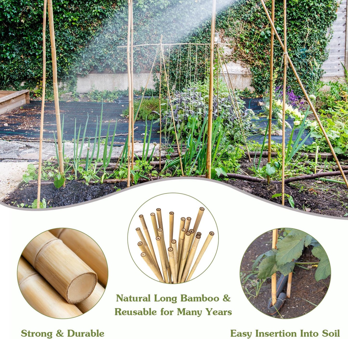 Plant Stakes 4FT, Natural Bamboo Stakes, HAINANSTRY 25Pcs Sturdy Bamboos Garden Stake, Bamboo Sticks for Plants, Beans, Indoor and Outdoor Climbing Plants, Tomato Vegetable Stakes for Garden