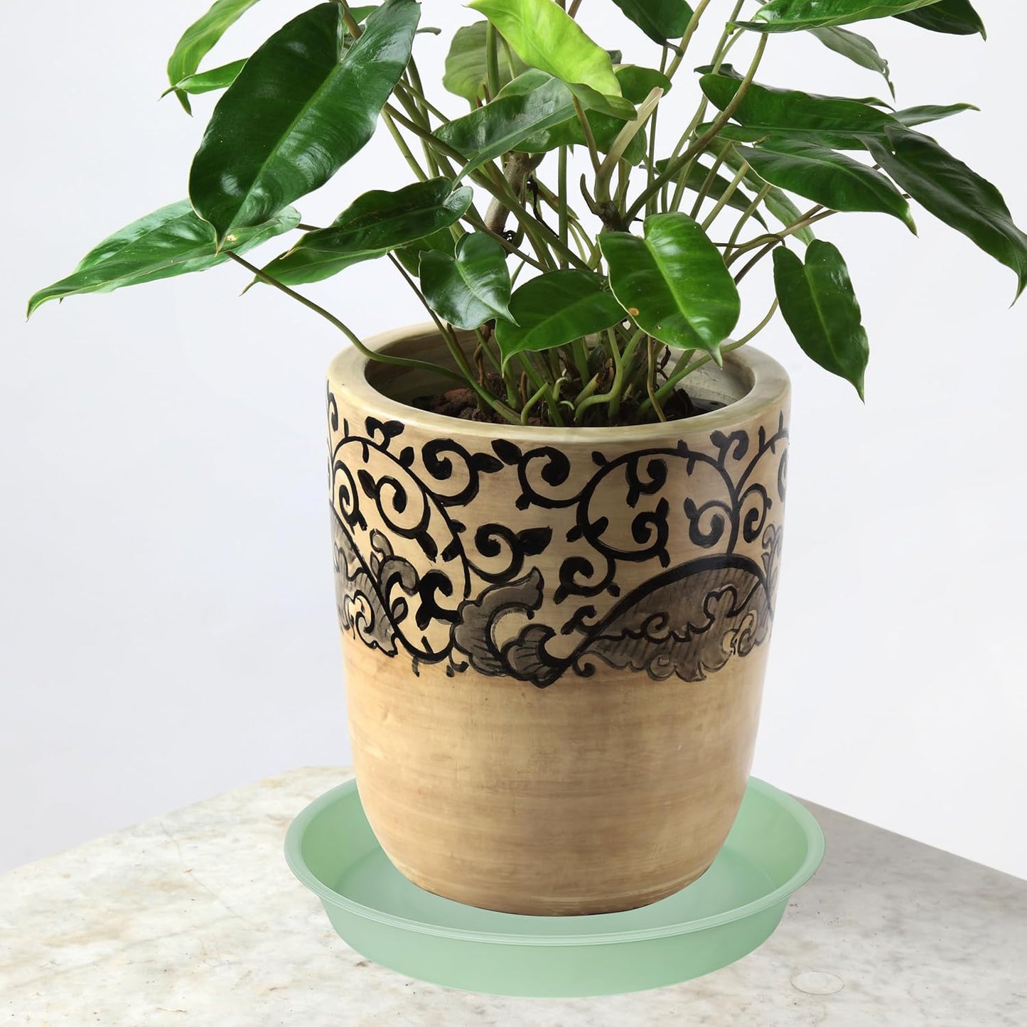 6 Pack of 6 inch Plant Saucer Drainage Tray, 4 5 7 8 10 12 13 15 17 19 inch Plastic Plant Water Tray, Flower Saucers for Indoors, Plant Dishes for Pots Base (6 inch, Light Green)