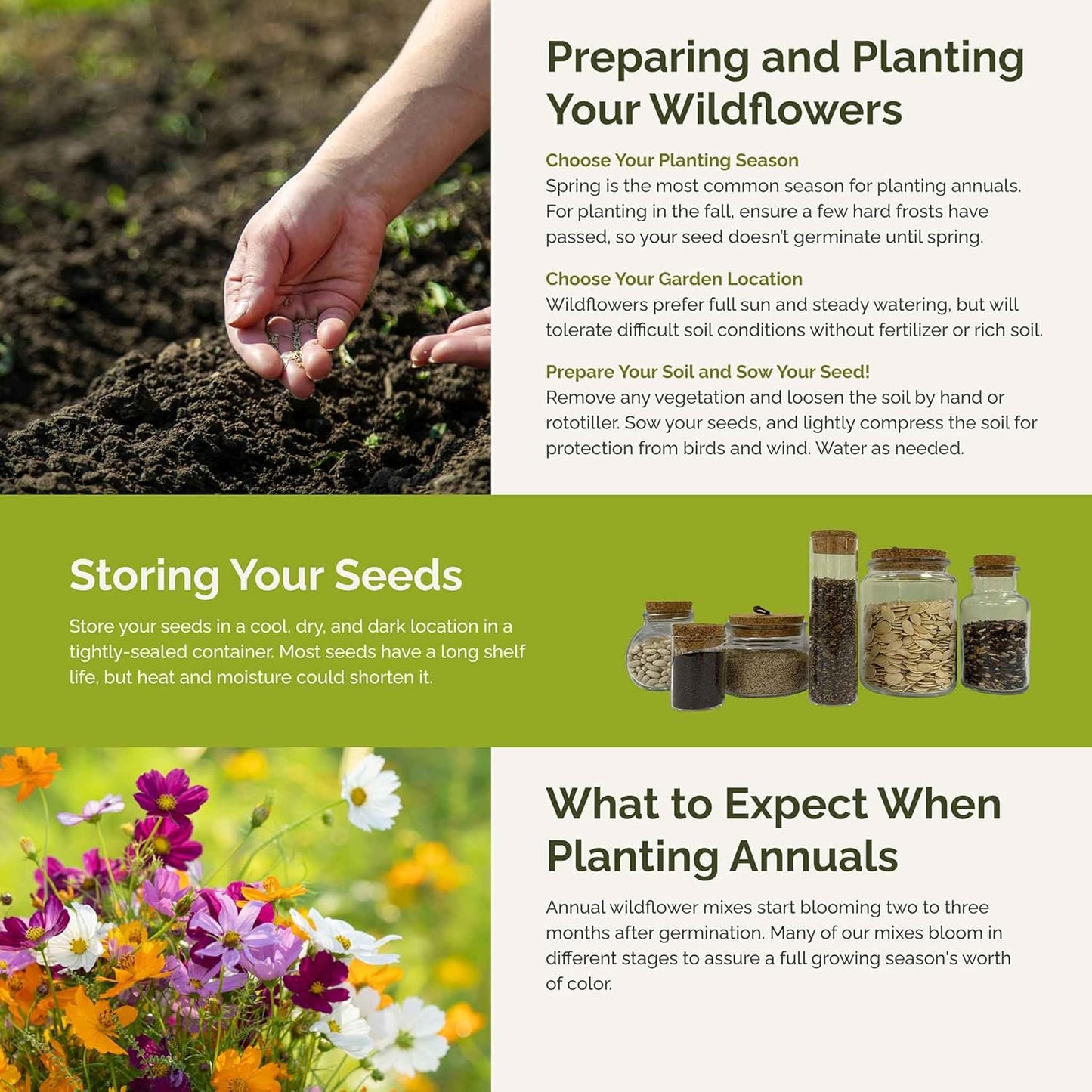 Eden Brothers Crazy for Cosmos Flower Mixed Seeds for Planting, 10 lb, 4,800,000+ Seeds with Cosmos Gloria, Pinkie, Purity, Attracts Pollinators, Plant in Spring or Fall, Zones 3, 4, 5, 6, 7, 8, 9, 10