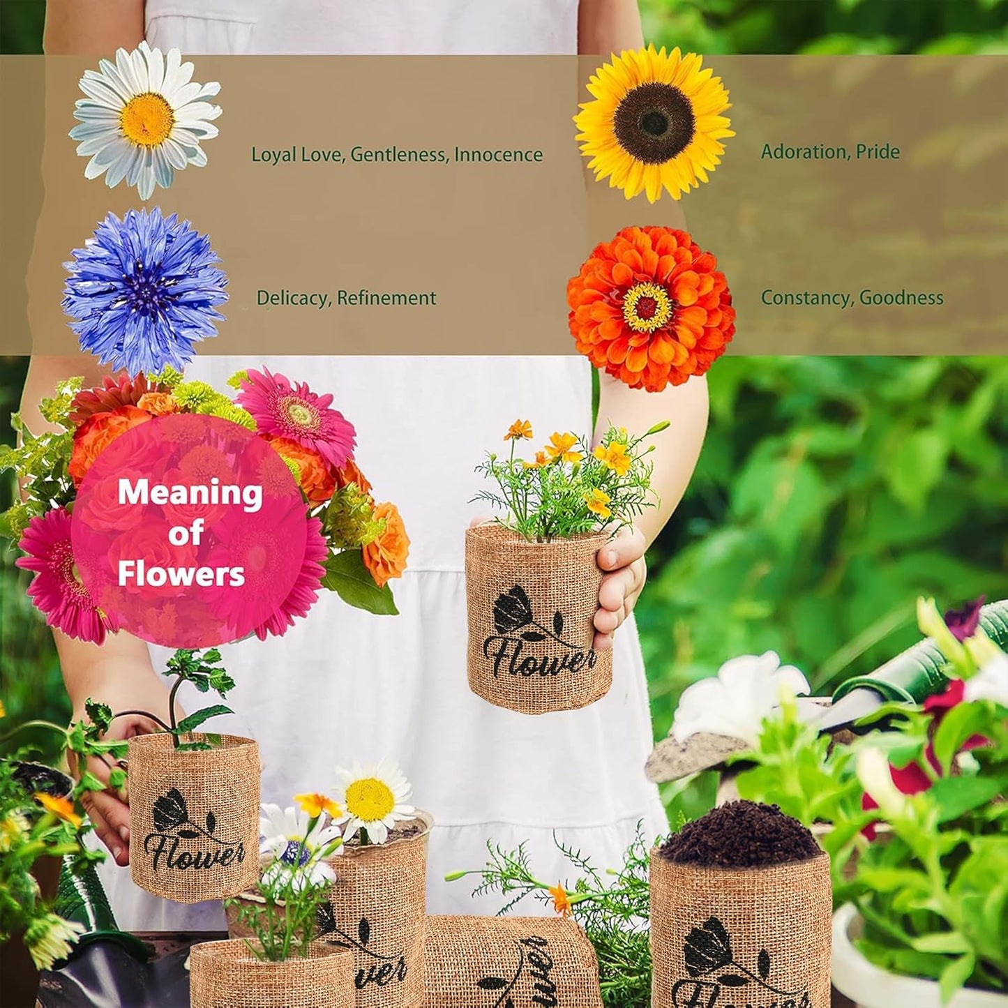 Indoor Starter 4 Kit with Complete Gardening Kit & Wooden Box, Growing into Shasta Daisy, Cornflower, Sunflower, Zinnia