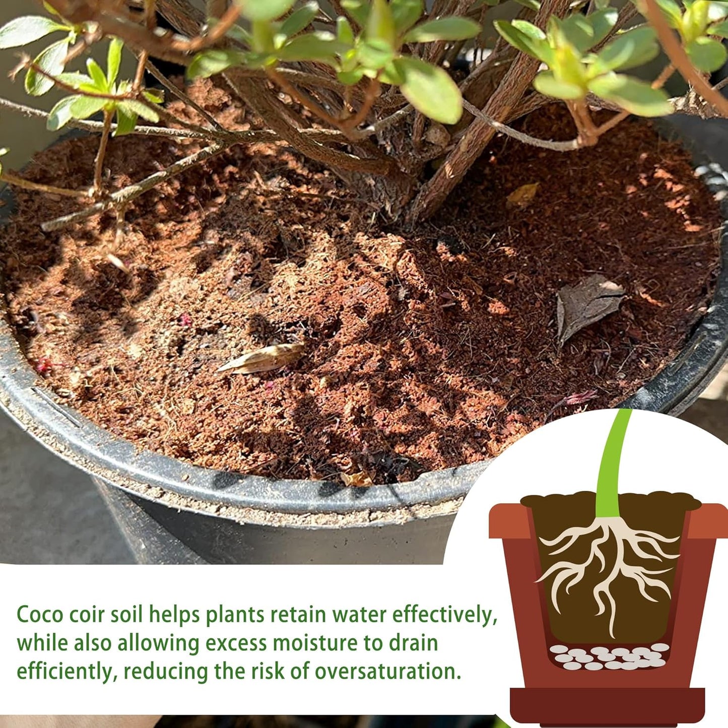 Coco Coir for Plant- 8 Pack Coco Coir Brick- 24 Gallons Coconut Soil with Low EC & PH Balance-Coco Fiber for Herbs& Flowers- High Expansion-Renewable Coco Soil for Planting