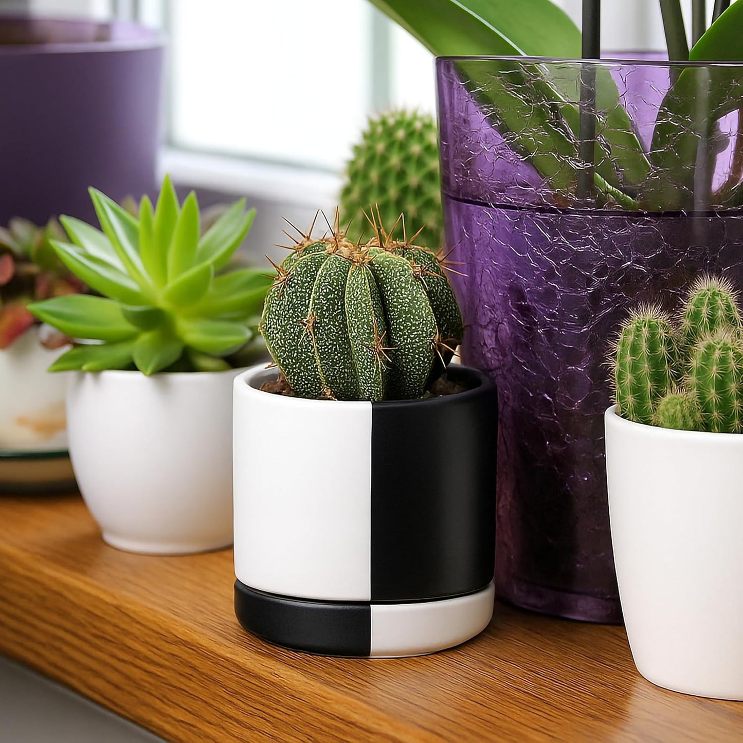 D'vine Dev 3.5 Inch Ceramic Planter Pot with Drainage Hole and Saucer, Indoor Cylinder Round Planter Pot, Split Monochrome Black & White, 94-O-A-0