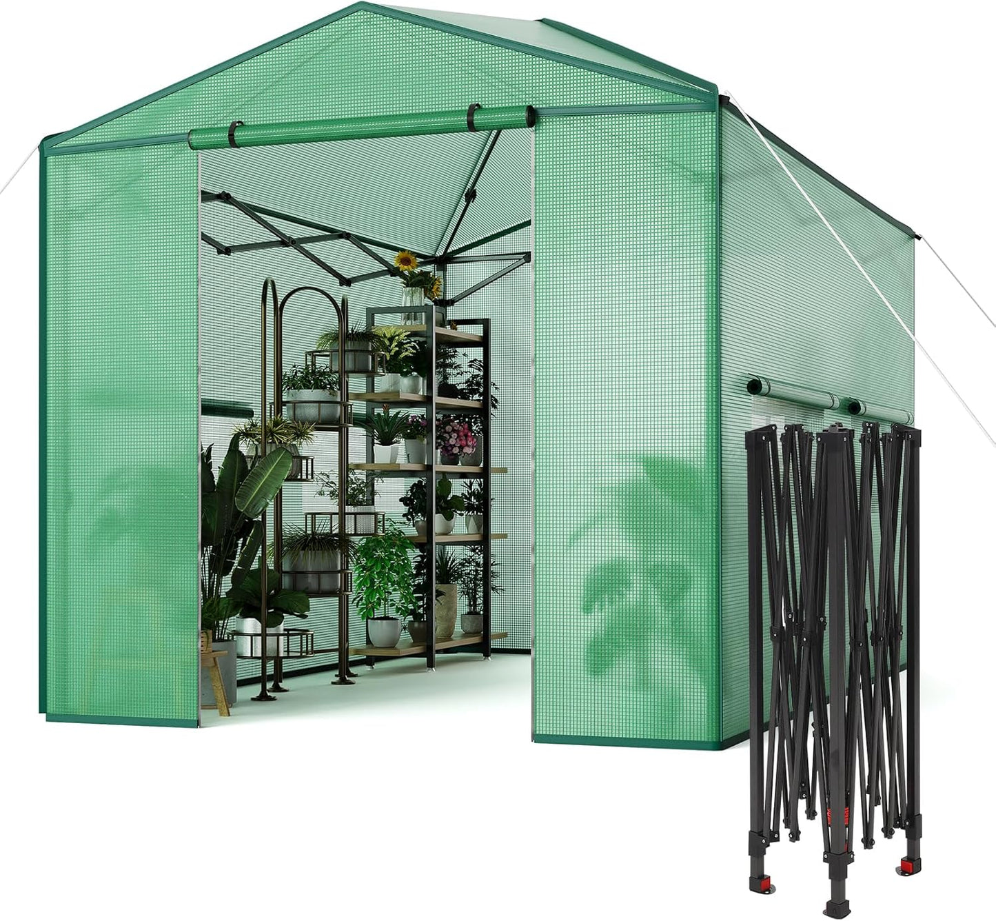 8 X 12 FT Portable Greenhouse for Indoor & Outdoor Plants, 96 X 144 Inches Durable PE Cover Pop-Up Green House Kit with Zippered Doors, Mesh Windows,Grow Tent for All Seasons - Easy to Assemble,Green