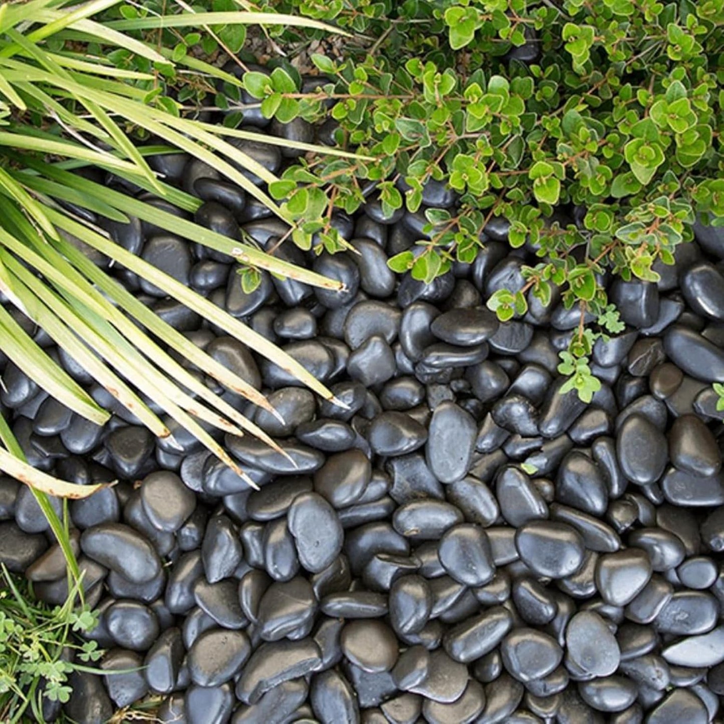 10lbs Black River Rocks, 2-3 Inch Large Pebbles for Indoor Plants, Natural High Polished Decorative Stones for Vase Filler Fish Tank