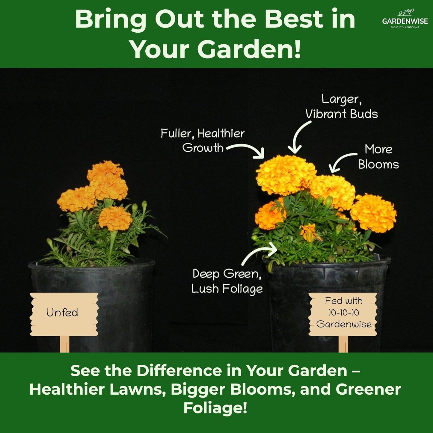 10-10-10 Plant Fertilizer Slow Release - 10 10 10 All Purpose Granular Garden Fertilizer for Vegetables, Tomato, Arborvitae, Shrubs, Rose, Flowers, Fruit, Fig Trees (5 QUARTS)