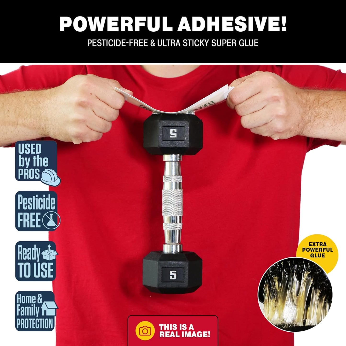 Catchmaster Crawling Pest & Insect Glue Traps 12-Count (3 Packs of 4), Insect Traps Indoor for Home, Pest Control Glue Boards, Adhesive Tray for Bugs, Spiders, Crickets, Roaches, & Ants