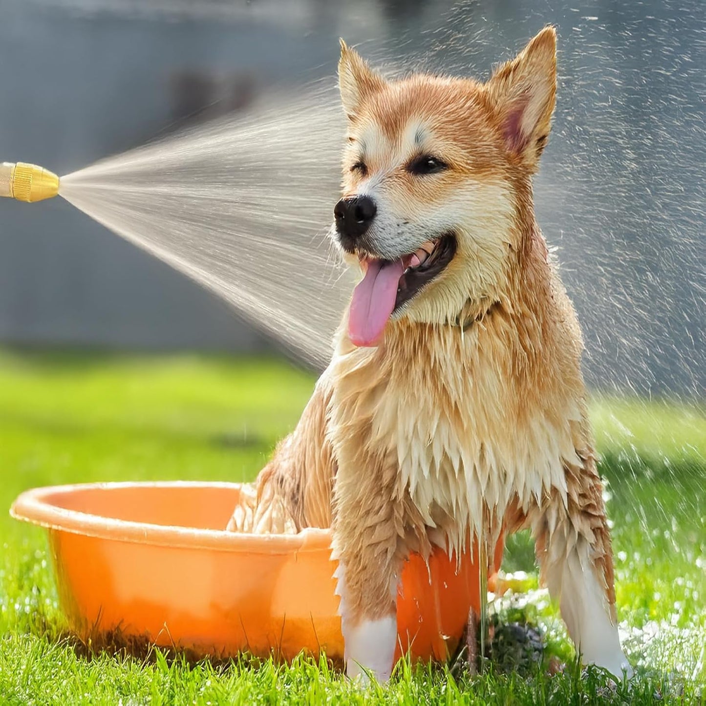 Garden Hose Nozzle, Metal Water Hose Sprayer with Adjustable High Pressure Spray Patterns for Watering Garden & Lawn, Washing Cars, Cleaning Driveways, Dog Bathing, Deck Rinsing & Outdoor Use