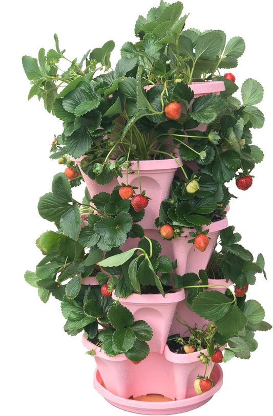 5-Tier Pink Strawberry and Herb Garden Planter - Stackable Gardening Pots with 10 Inch Saucer