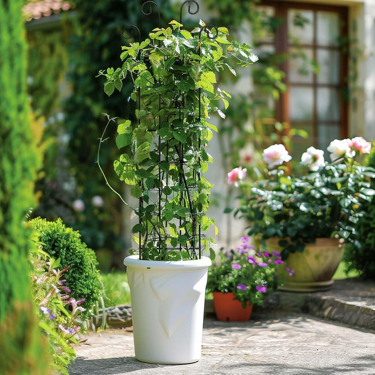 4 Pack 32 Inch Plant Trellis Outdoor Metal Trellis for Climbing Plants Indoor Garden Trellis for Climbing Plants Outdoor Wave Shape Metal Garden Trellis Houseplants Flowers Vine Ivy