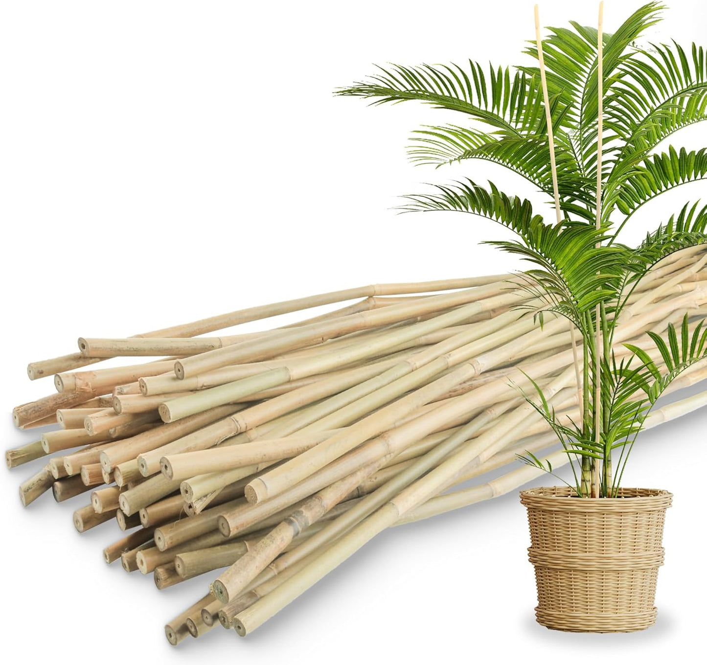 50Pcs / 6ft Bamboo Plant Stakes for Indoor Outdoor Plants, Garden Plant Support Sticks, Poles for Tomato Vegetables Beans Trees Potted Climbing Plants(0.32''-0.4'')