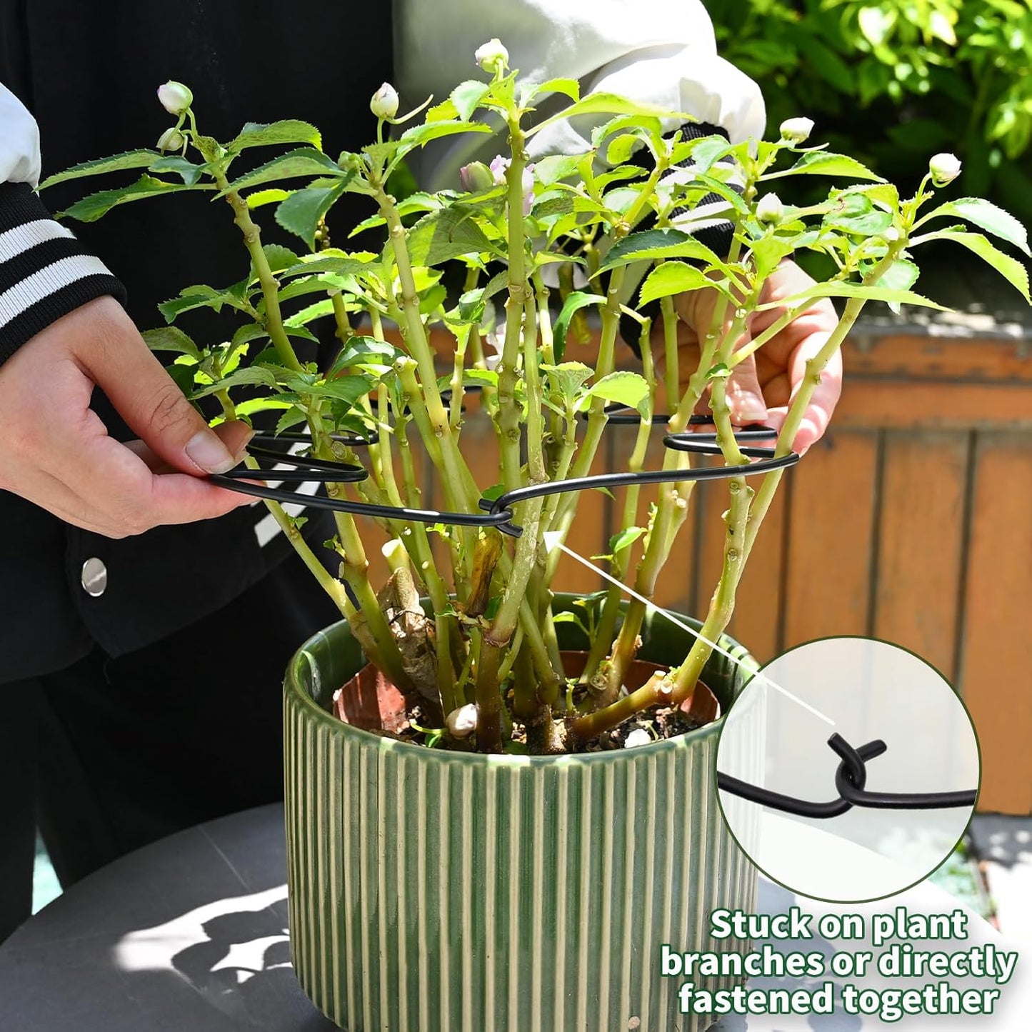 5PCS Black Monstera Plant Stem Support 9x7.6in - Adjustable & Durable Indoor Plant Stake for Cactus and Climbing Plants - Ideal Leaf Support for Gardening & Home Decor