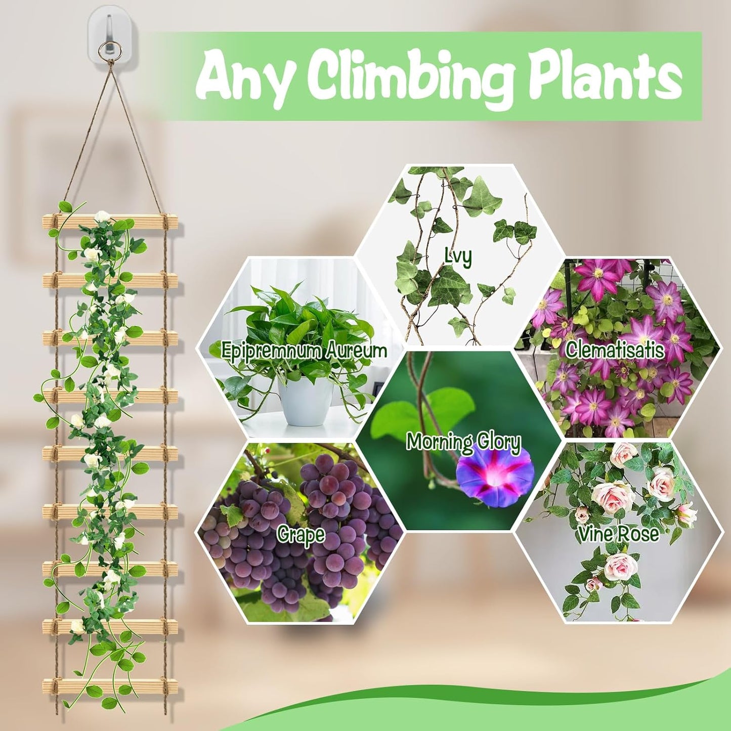 2Pcs Climbing Plants Ladder Support for Indoor & Outdoor- 4.3 ft Wood Ladder Design Plant Trellis, Reliable Garden Support for Vines & Climbers and More, Easy to Install, Home Deocr