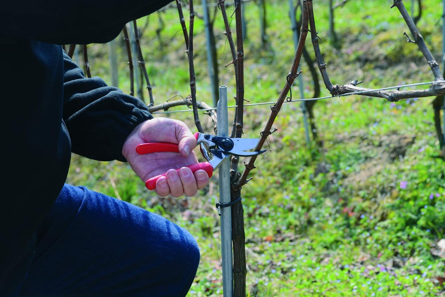 Felco F17 Pruning Shears – 7.9" Garden Clippers with Revolving Handle for Left-Handed Users | Hand Pruners for Gardening | Garden Tool Cutter with Forged Aluminum Body, Bypass & Anvil Blades