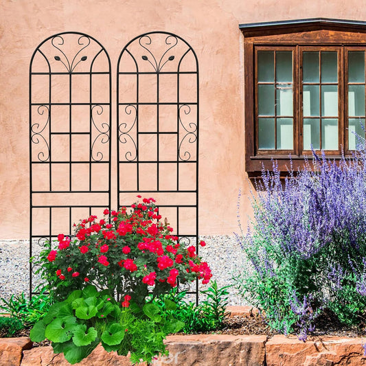 2 Pack Metal Garden Trellis 86.7" Tall Outdoor Climbing Plant Support for Roses, Flowers, Rustproof Durable Black Galvanized Tube, Lawn Garden Fence Decor Screen (2, Black curves-86.7" H)