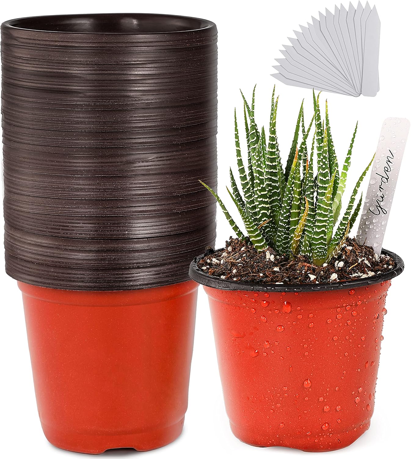 TDHDIKE Plastic Planter Nursery Pots 4" Small (50pcs) Seedlings Flower Pots Container Seed Starting Pots for Plants Come with 50pcs Labels