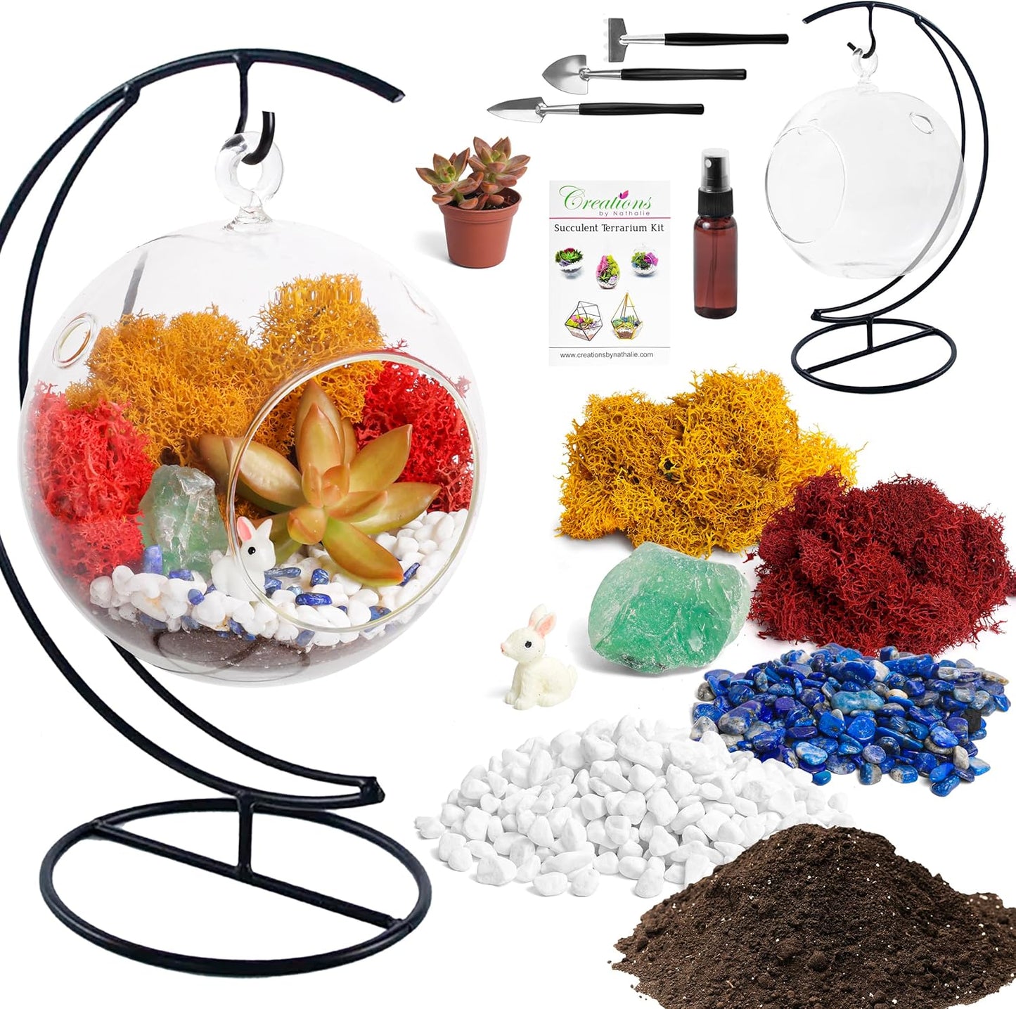 5" Glass Globe Succulent Terrarium Kit, Hanging DIY Starter Kit for Kids and Adult, Metal Stand, Reindeer Moss, Crystal & Rocks, Tools, Figurine (Live Plant Included)
