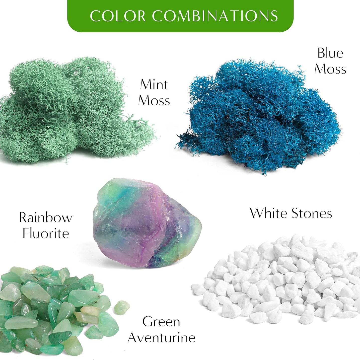 6" DIY Chalice Terrarium Kit with Live Plants - Build Your Own Glass Terrarium for Adults & Kids with Moss, Crystals, Soil, Tools & Figurine - Mini Ecosystem - Made in The USA