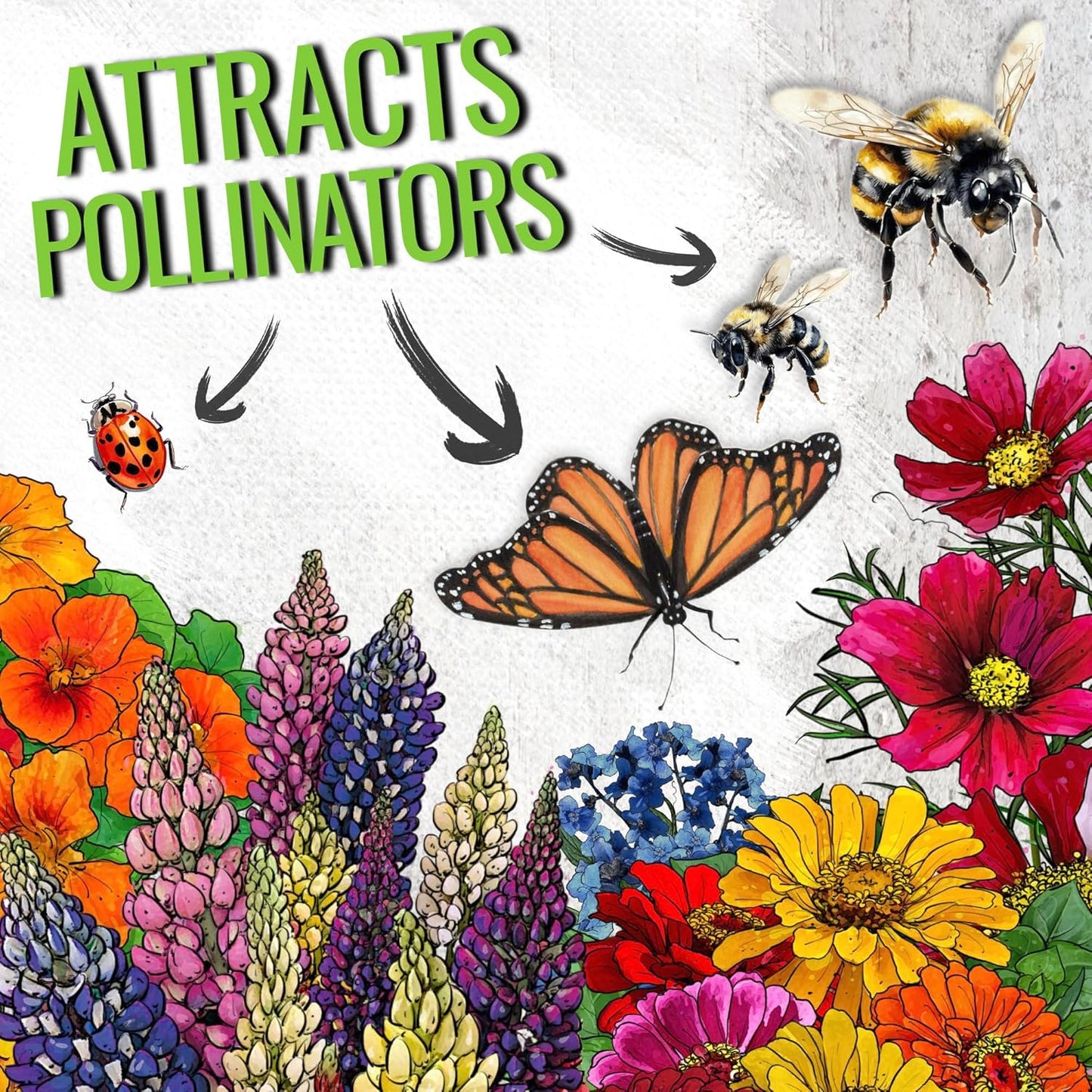 Seed Needs Wildflower Seeds Hummingbird and Butterfly Seed Mix | 2 Packs (1 Ounce Each) No Filler 23 Varieties Garden Seeds Annual & Perennial Species | Pollinator Attracting Flower Seed | Bulk