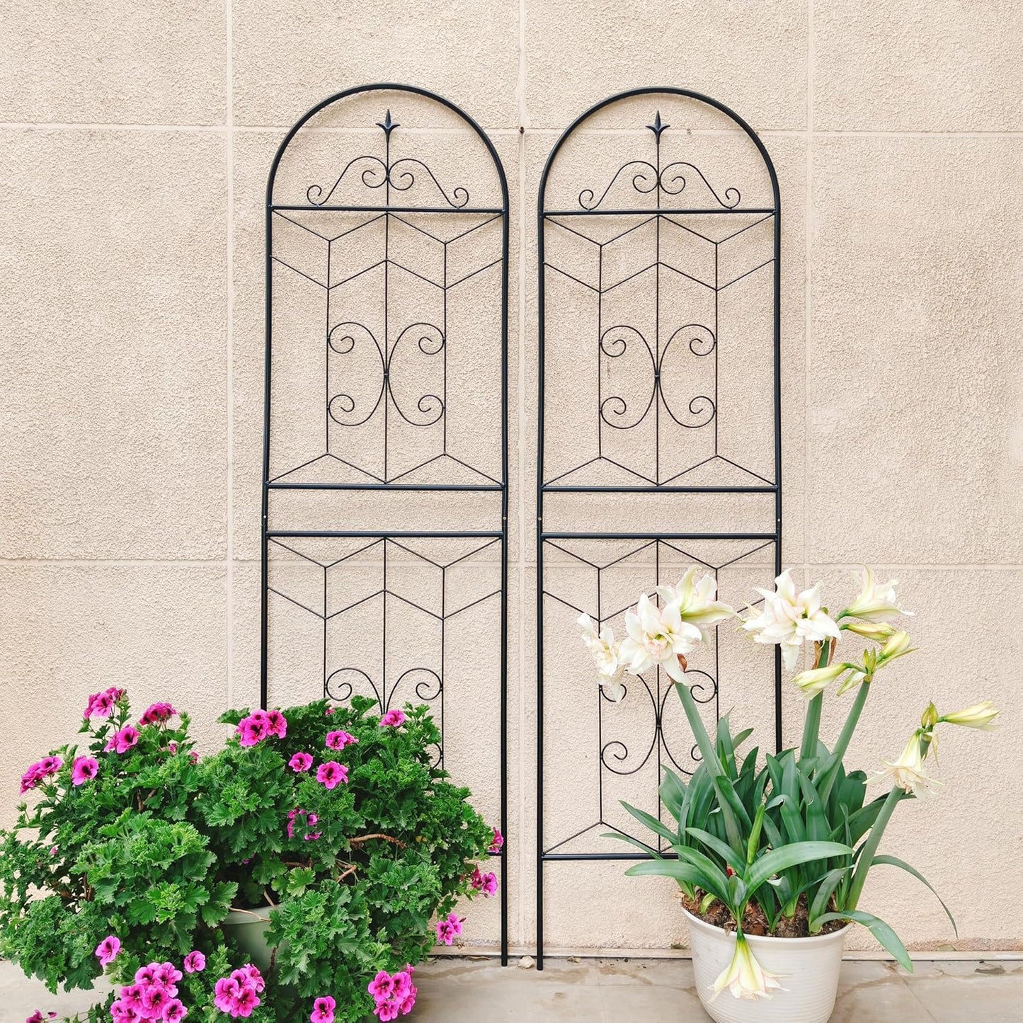 2 Pack 71x20in Garden Trellises with Black Metal Coating, Trellis for Climbing Plants Outdoor, Roses, Vines, Flowers, and Vegetables.