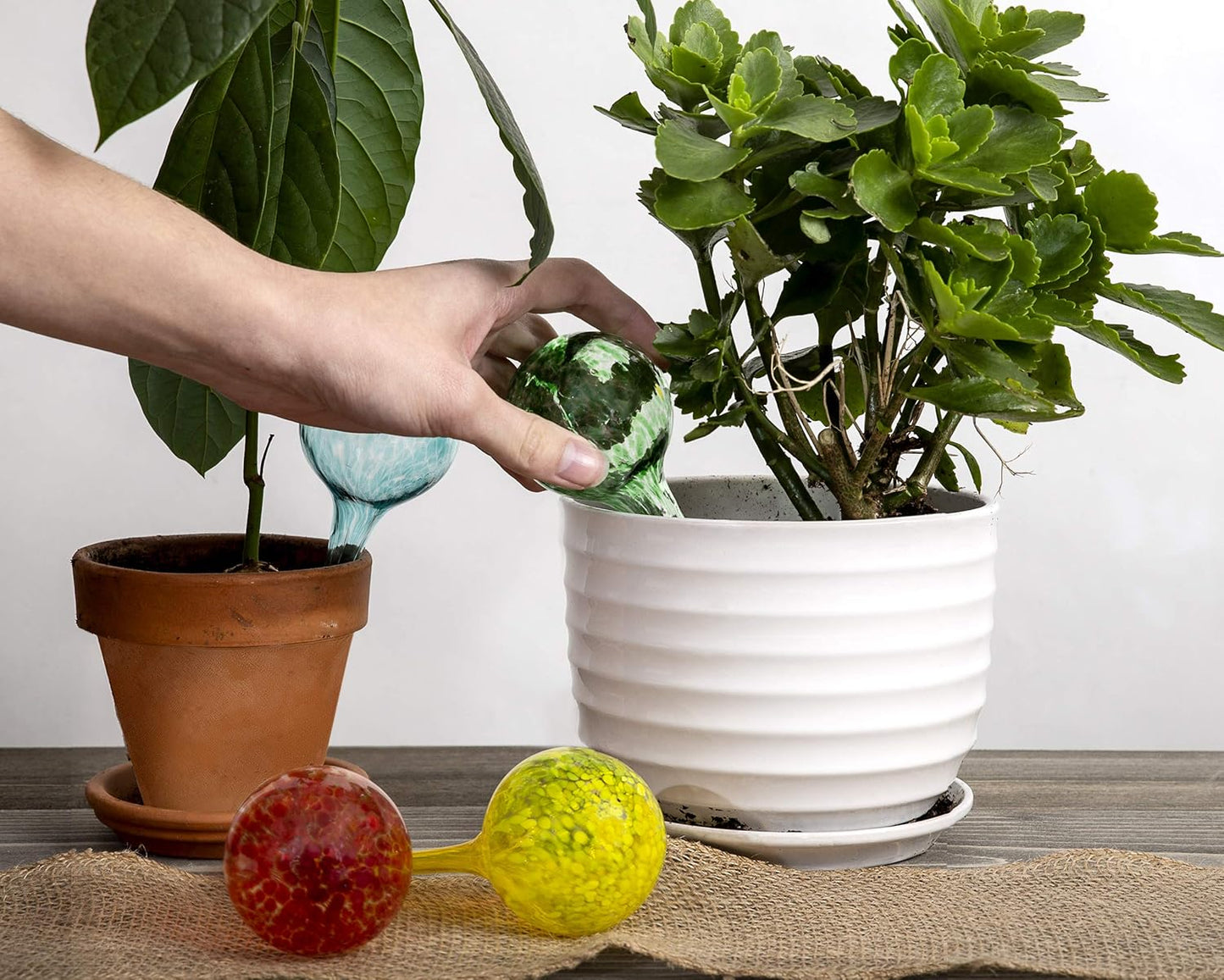 Besti Large Self Watering Globes for Plants (6-Pack) Waters Greenery Up to 2 Weeks Hands Free | Durable, Multicolored Glass Craftsmanship | Indoor and Outdoor Use - Measures 12” x 3.5”