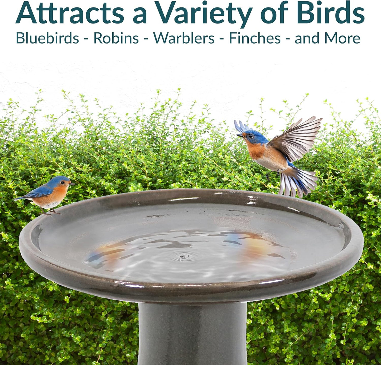 Sunnydaze 21" H Ceramic Bird Bath for Outside - Hand-Painted Outdoor Bird Bath Bowl, UV/Frost-Resistant Finish - Dusty Rose - Classic Pedestal