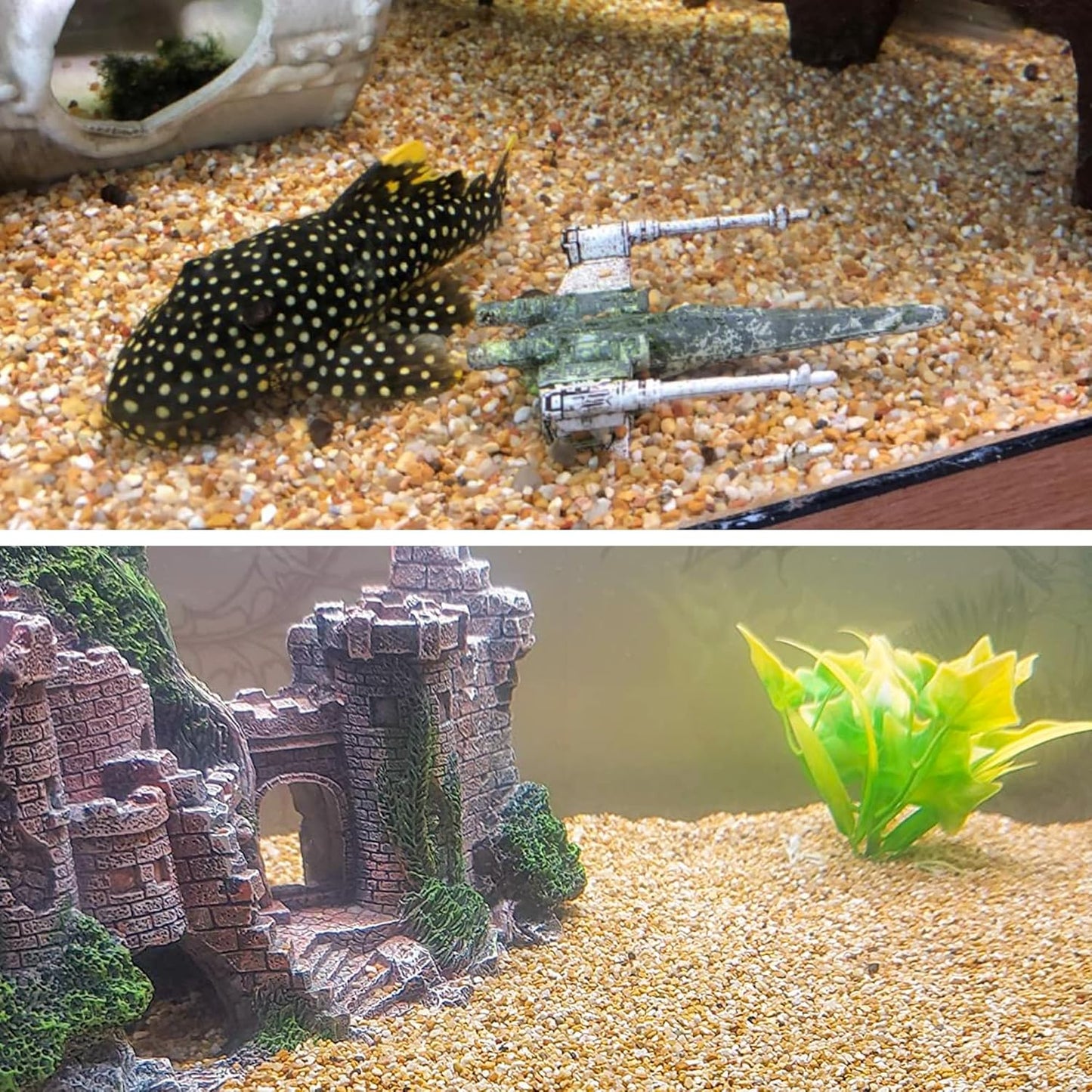 45lb Cactus Pea Gravel Rocks,1/5 Inch Pebbles for Indoor Plants, Natural Succulent Rock and River Rocks Decorative for Aquariums, Vases, Terrarium, Outdoor Gardening, Top Dressing for Potted Plants