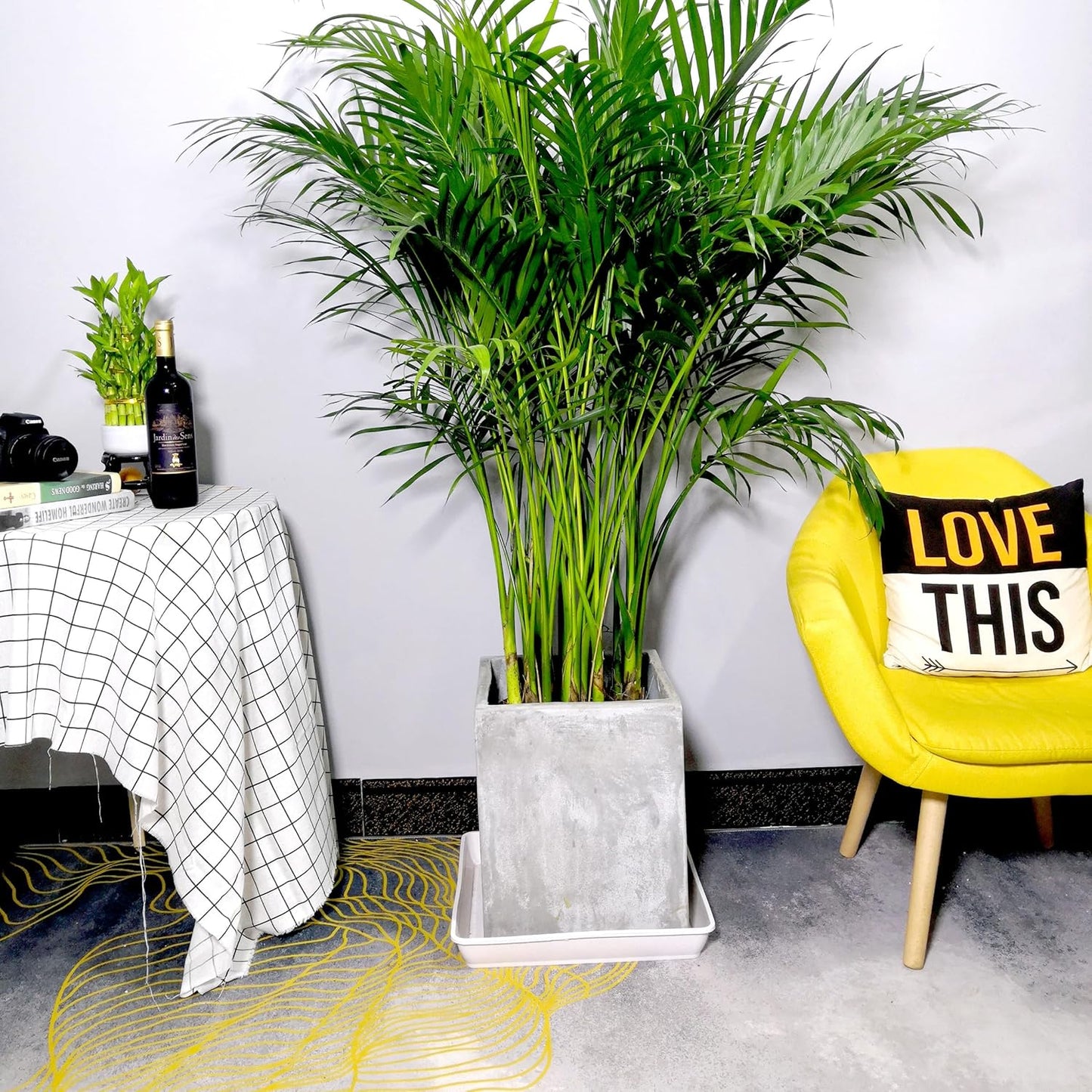 Square Plant Saucer 14 Inch 2 Pack, Durable Plastic Plant Trays Plant Pot Saucers, Square Planters for Indoors and Outdoors Plants, Garden Large Plant Saucers for Pots Black.