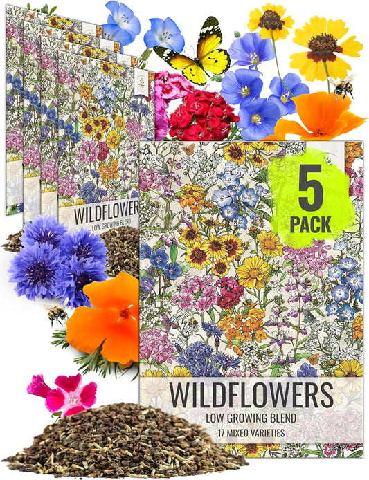 Seed Needs Low Growing Wildflower Flower Seeds for Planting | 5 Packs (1 Ounce Each) Mixture/Blend 17 Varieties | Resealable Package Multicolored Blooms Open Pollinated Mixed Species | Bulk