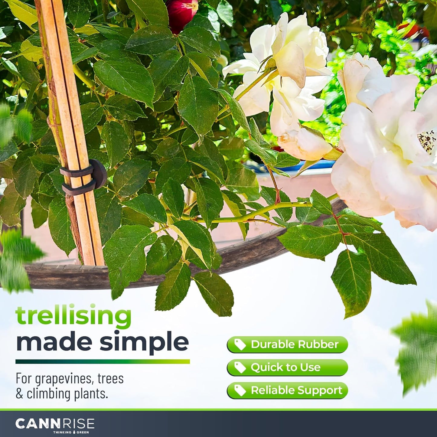 Anchor Rubber Bands for Trellising – 70 Pack of 8 cm/3.14 inches Rubber Bands for Outdoor Plant Support, Climbing Plants, Grape Vines, Trees – UV-Protected, Elastic, Multi-Purpose Use