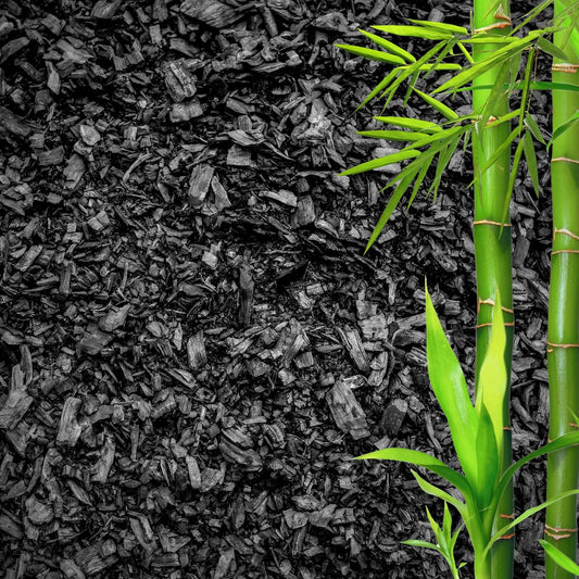 Horticultural Charcoal for Plants – Organic Bio Char Soil Amendment for Terrariums, Indoor Plants & Gardening, Made in USA (1 Quart)