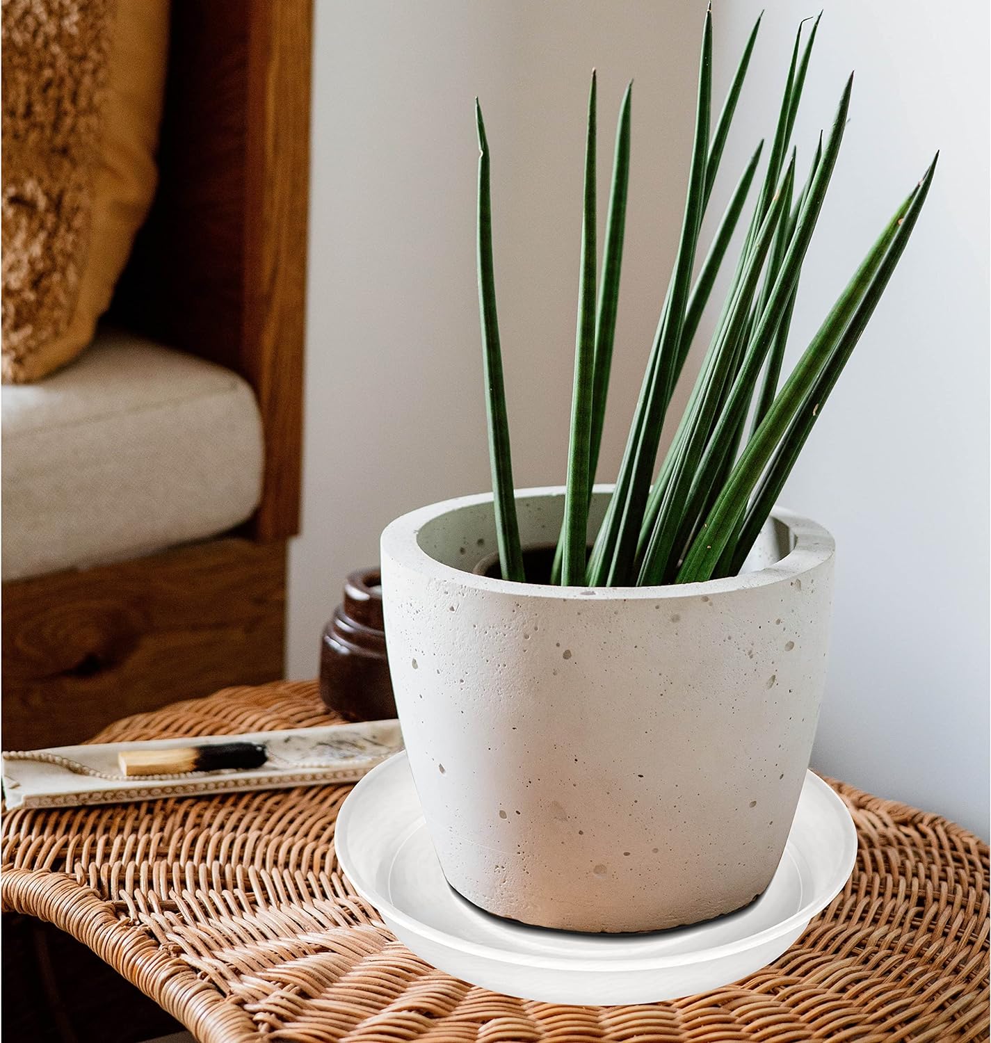 6 Pack of 8 inch Plant Saucer Clear, Heavy Duty Plastic Plant Water Tray 8 inch Round, Flower Plant Saucers for Indoors No Holes, Plant Dishes Saucer for Planter 7"/8" (8", Clear)