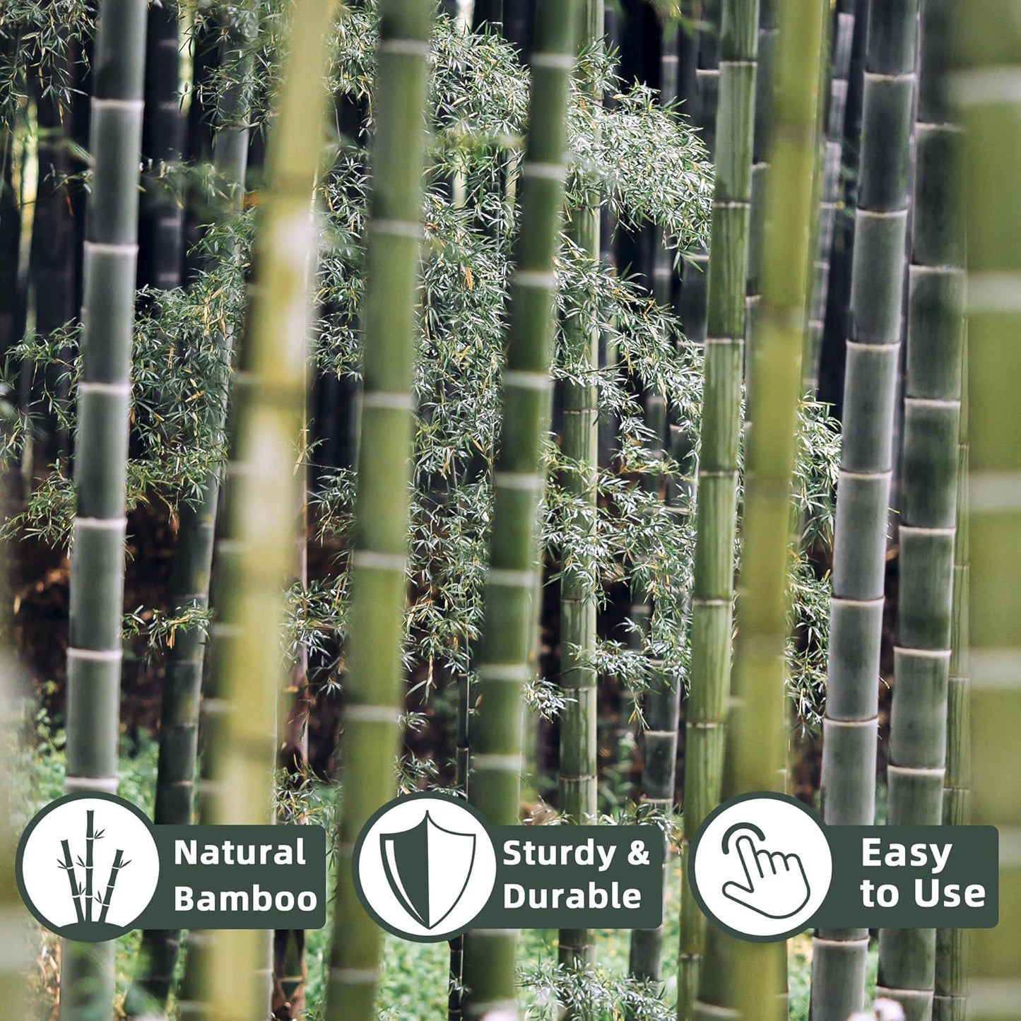 50Pcs / 2ft Bamboo Plant Stakes for Indoor Outdoor Plants, Garden Plant Support Sticks, Poles for Tomato Vegetables Beans Trees Potted Climbing Plants(0.32'')