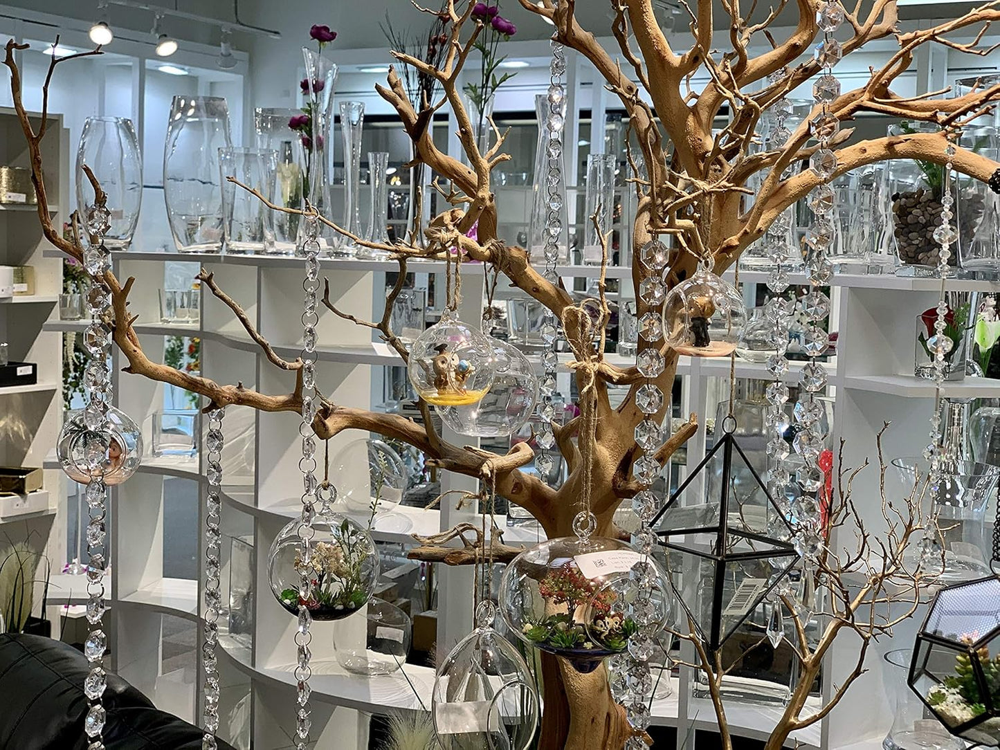 WGV Hanging Terrarium, Width 3.5", Height 7", Oblong, Double Hook, DIY Air Succulent Planter, Clear Glass Vase Orb, Candle Holder for Windowsill Outdoor Garden Decor, 6 Pieces Bulk