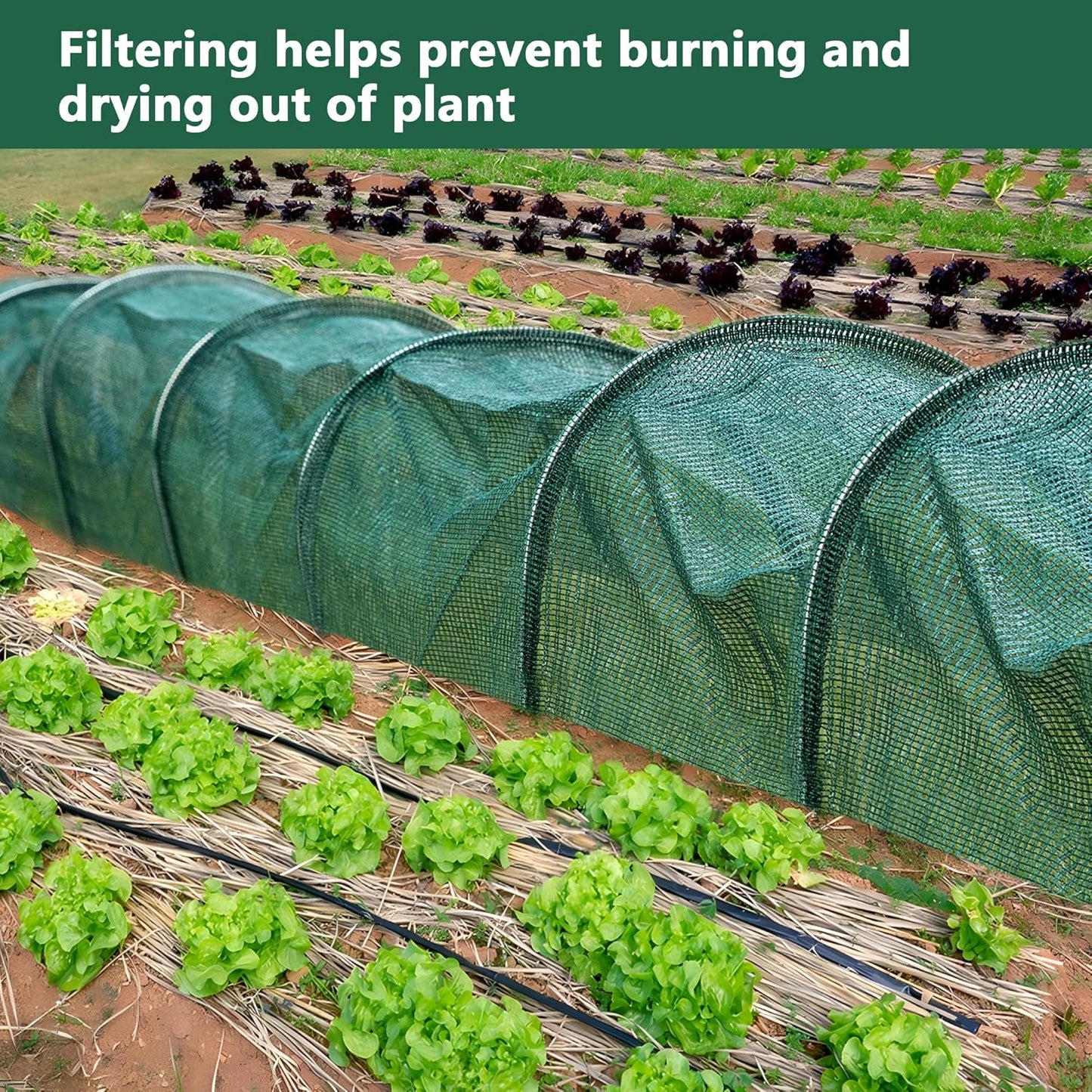 2 Pack Garden Tunnel Shade Net Cover - 10FT Shade Net Tunnel Plant Row Cover - Plant Gardening Net for Greenhouse Garden Patio Plants