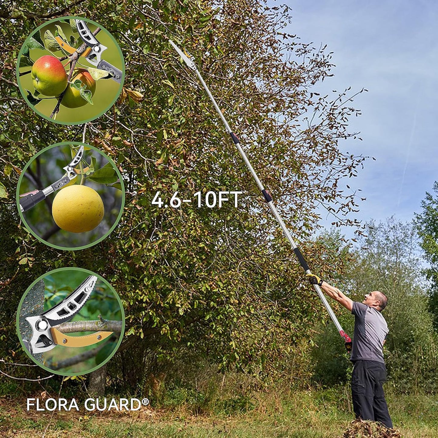FLORA GUARD 4.6-10ft Extendable Tree Pruner，Cut and Hold Pruning Trimmer - Long Reach Pole Saw, Telescoping Fruit Picker, Branches Bypass Lopper - Lightweight Tree Trimmers Long Handle Pruner