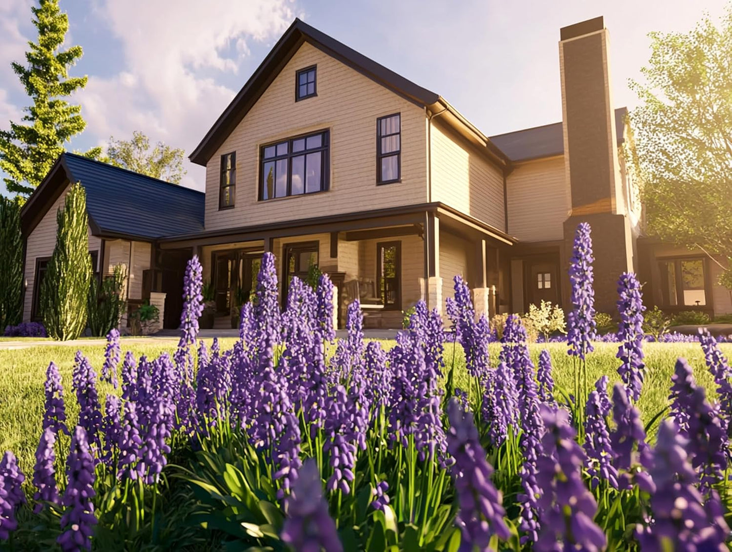 Big Blue Liriope Muscari - 1 Live 4 Inch Pot - Drought Tolerant Low Maintenance Evergreen Plants Grass Lilyturf