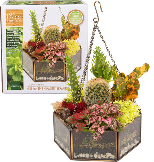 Deco Glass Geometric DIY Terrarium, Succulent & Air Plant- Hanging Mini Hexagon Shaped for Indoor Gardening Decor- Create Your own Flower, Fern, Moss Centerpiece- Amazing Holiday and Wedding Gift
