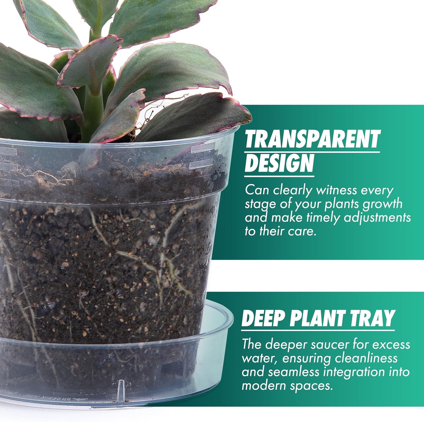 4 Inch Clear Plastic Plant Pot with Drainage Holes, Interlocking & Detachable Tray - Deep Saucer - Durable BPA-Free Plastic, Transparent Design, Raised Base for Airflow, Set of 24, 92-X-C-2