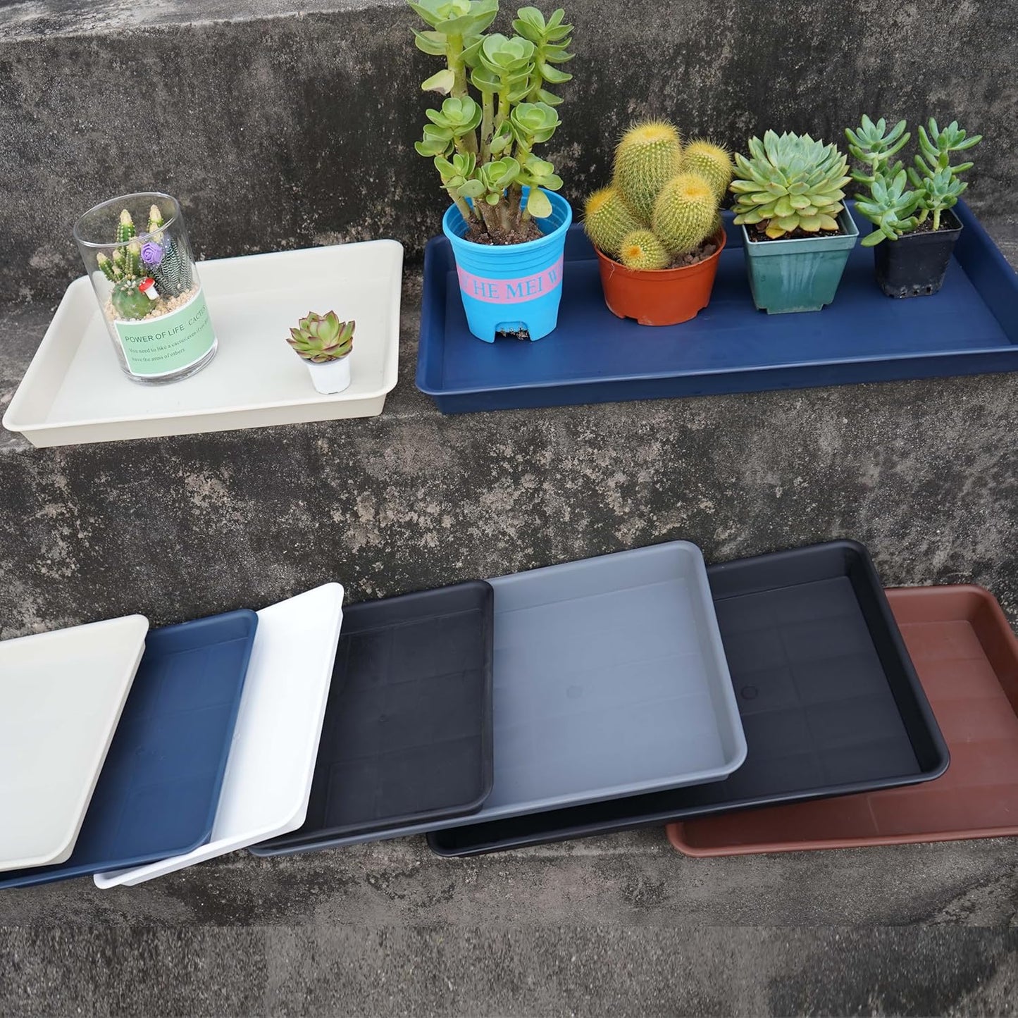 Plant Saucer Growing Trays, Seed Starter Tray, 14"x11", Heavy Sturdy Plastic Microgreens Tray, Propagation Tray Rectangular, Humidity Tray, Seedling Tray, Seed Starter Growing Tray