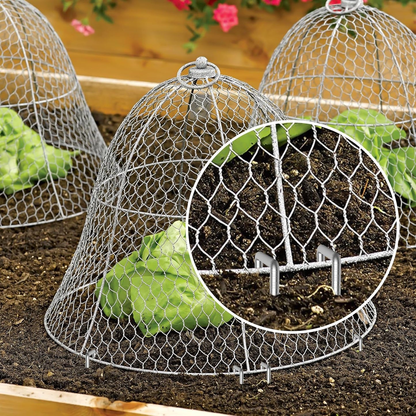 AAGUT 12 Inch Garden Stakes Landscape Staples, 25 Pcs U Shaped 11 Gauge Galvanized Pins Metal Fence Ground Stakes for Gardening, Chicken Wire, Irrigation Tubing, Camping Tent, Secure Lawn Fabric