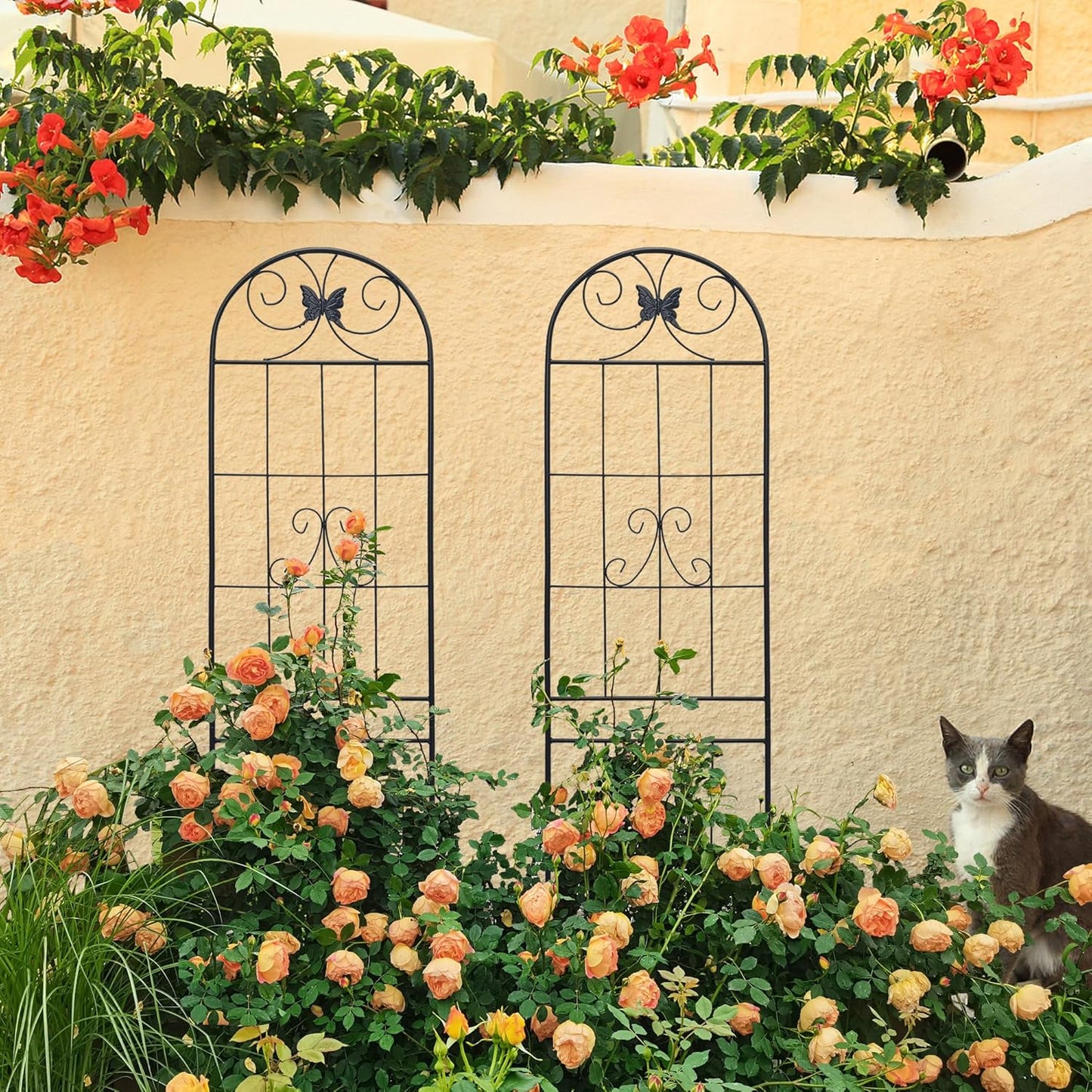 4 Pack Garden Trellises with Black Metal Coating, Trellis for Climbing Plants Outdoor, Roses, Vegetables, Vines, Cucumbers-19.7×86.7 inches.