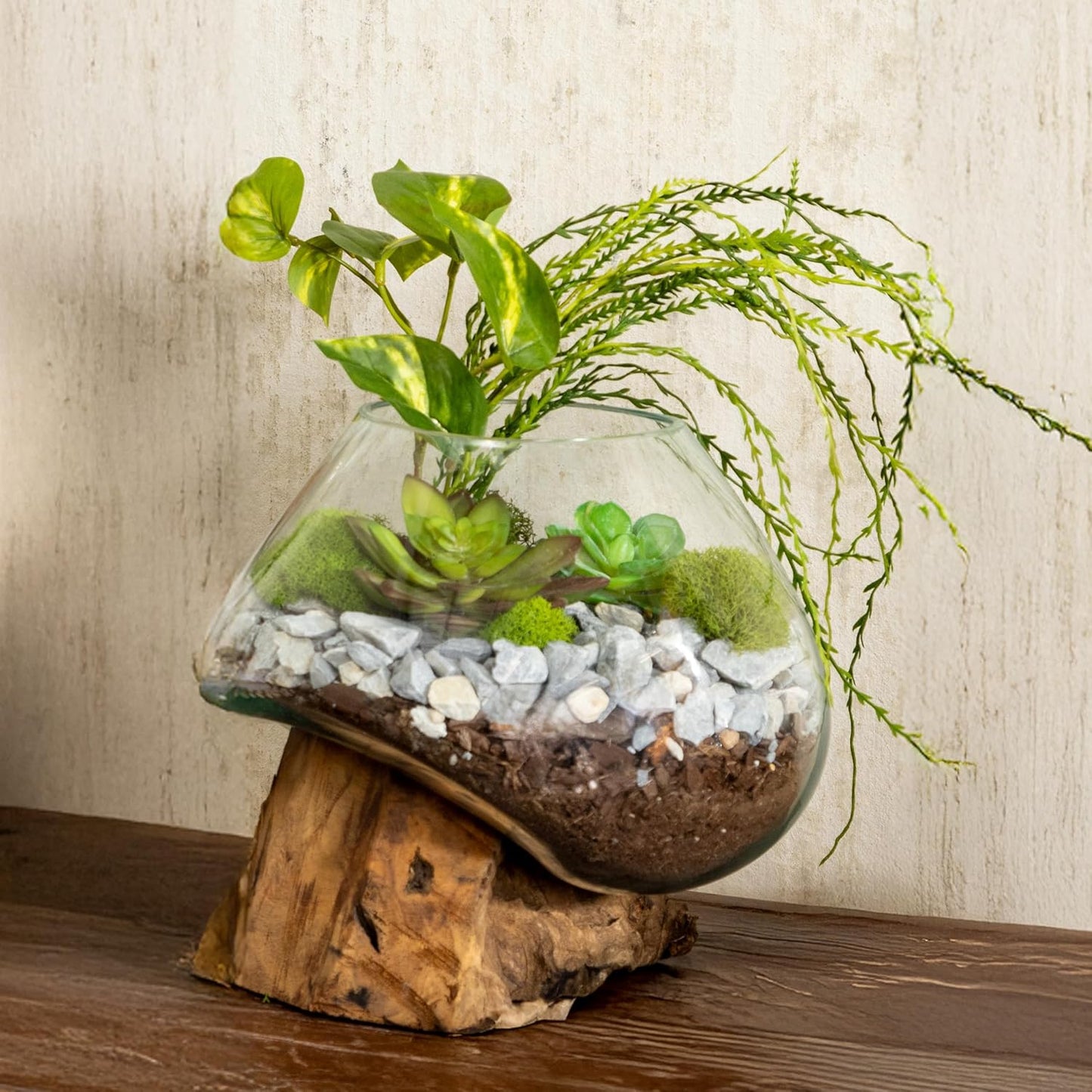 Cape Craftsmen 10" H Hand-Blown Blue Tinted Bubble Glass On Natural Teak Driftwood Terrarium | Home Décor Indoor Planter with Stand | Pot for Succulent and Plants