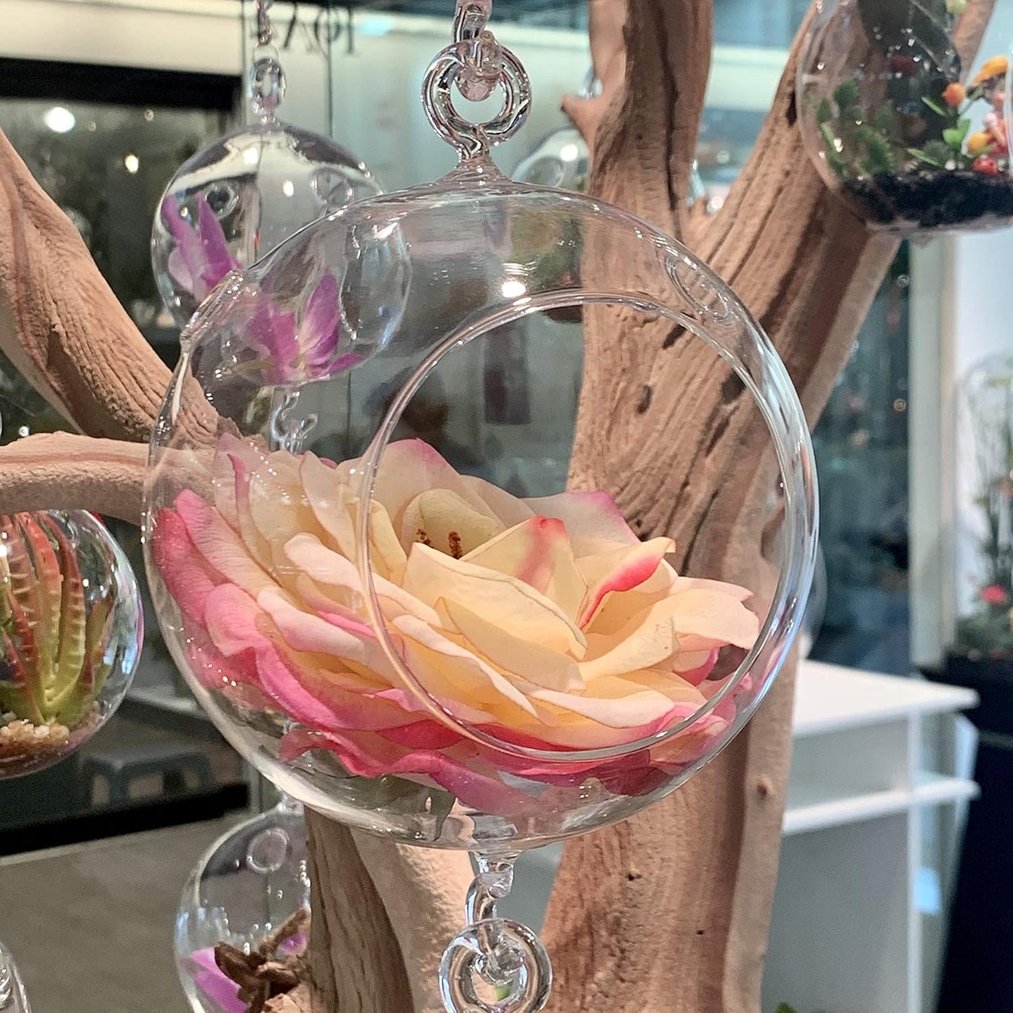 WGV Hanging Terrarium Globe, Width 4", Height 6", Double Hook, DIY Air Succulent Planter, Clear Glass Vase Orb, Candle Holder for Windowsill Outdoor Garden Decor, 1 Piece