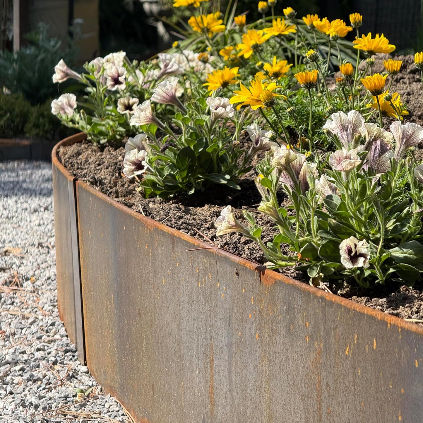 Hammer-in Landscape Edging - 48-inch Strips - 14-inch Depth 1/4-inch Rounded top COR-Ten Steel (5 Pack)