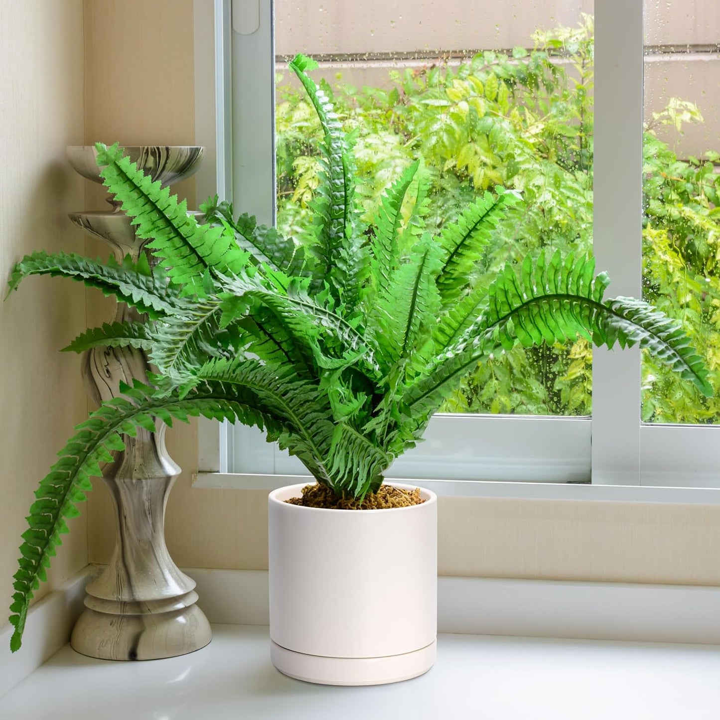 D'vine Dev 8.2 Inch Ceramic Planter Pot with Drainage Hole and Saucer, Indoor Cylinder Round Planter Pot, Oatmeal, 94-O-D-8