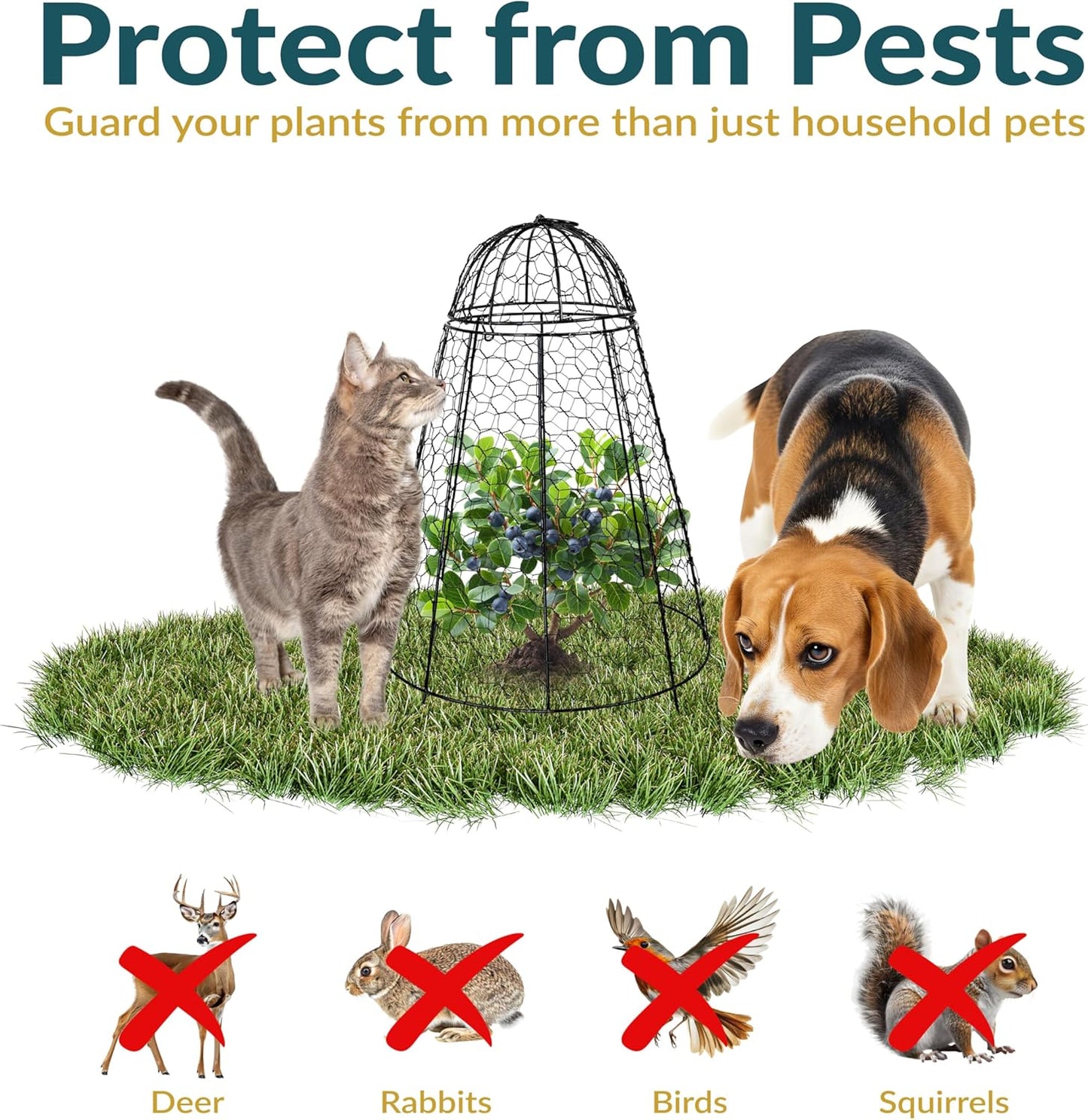 Sunnydaze Chicken Wire Plant Protector Cage - Garden Cloche with Removable Cover - 6 Pack - Protects from Rabbits and Animals
