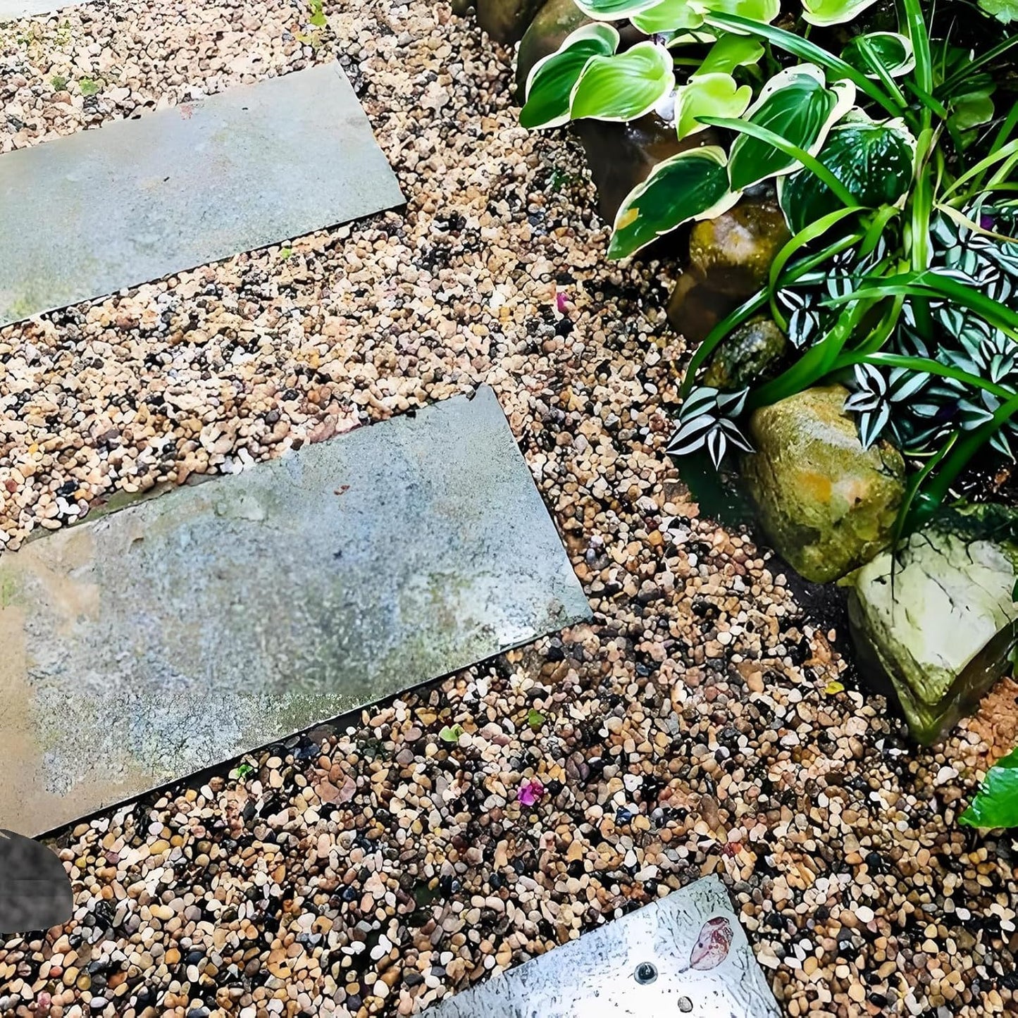 5 lbs Polished Pebbles, 3/8 Inch Pea Gravel for Plants, Decorative Stones River Rocks for Succulent Soil Cover, Cactus, Aquarium, Vase and Outdoor Garden Landscaping