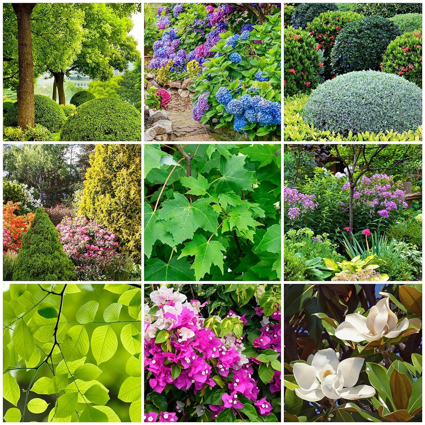 Tree & Shrub Fertilizer Spikes (24 Spikes - 6.0 Lbs)